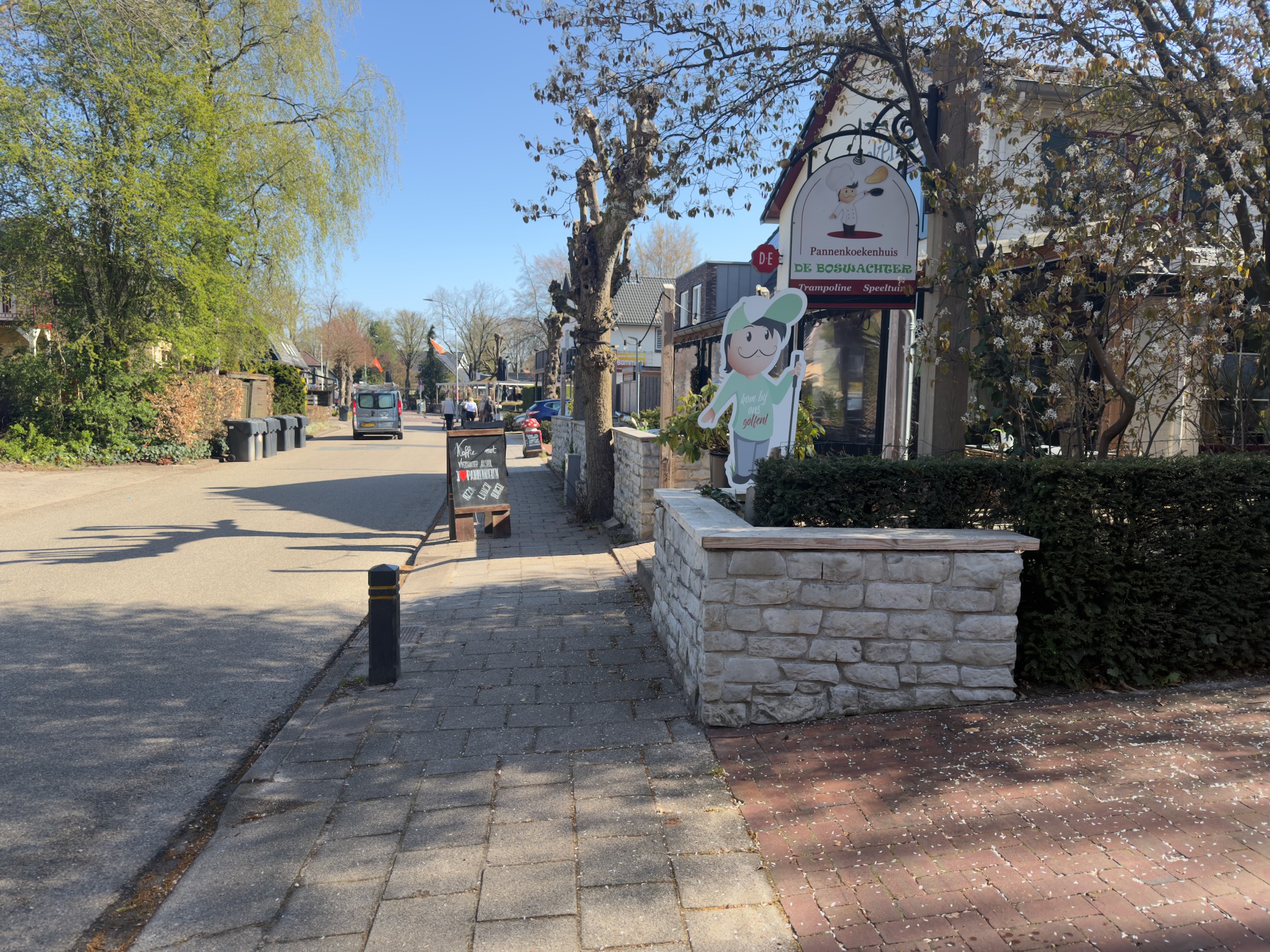 Village street with a pancake house sign and blooming magnolia tree