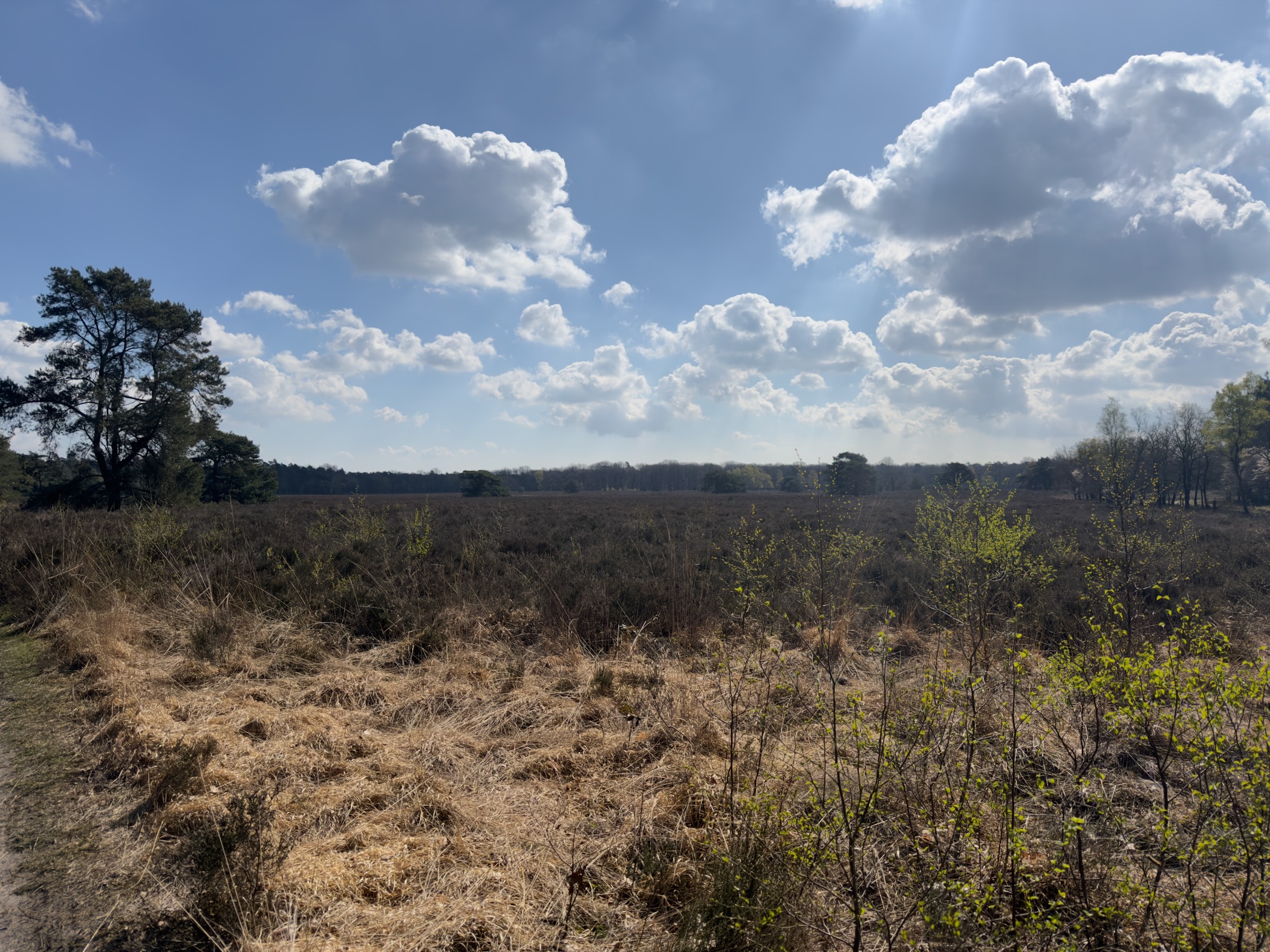 Panoramic view over brown heathland under a dramatic sky with white cumulus clouds