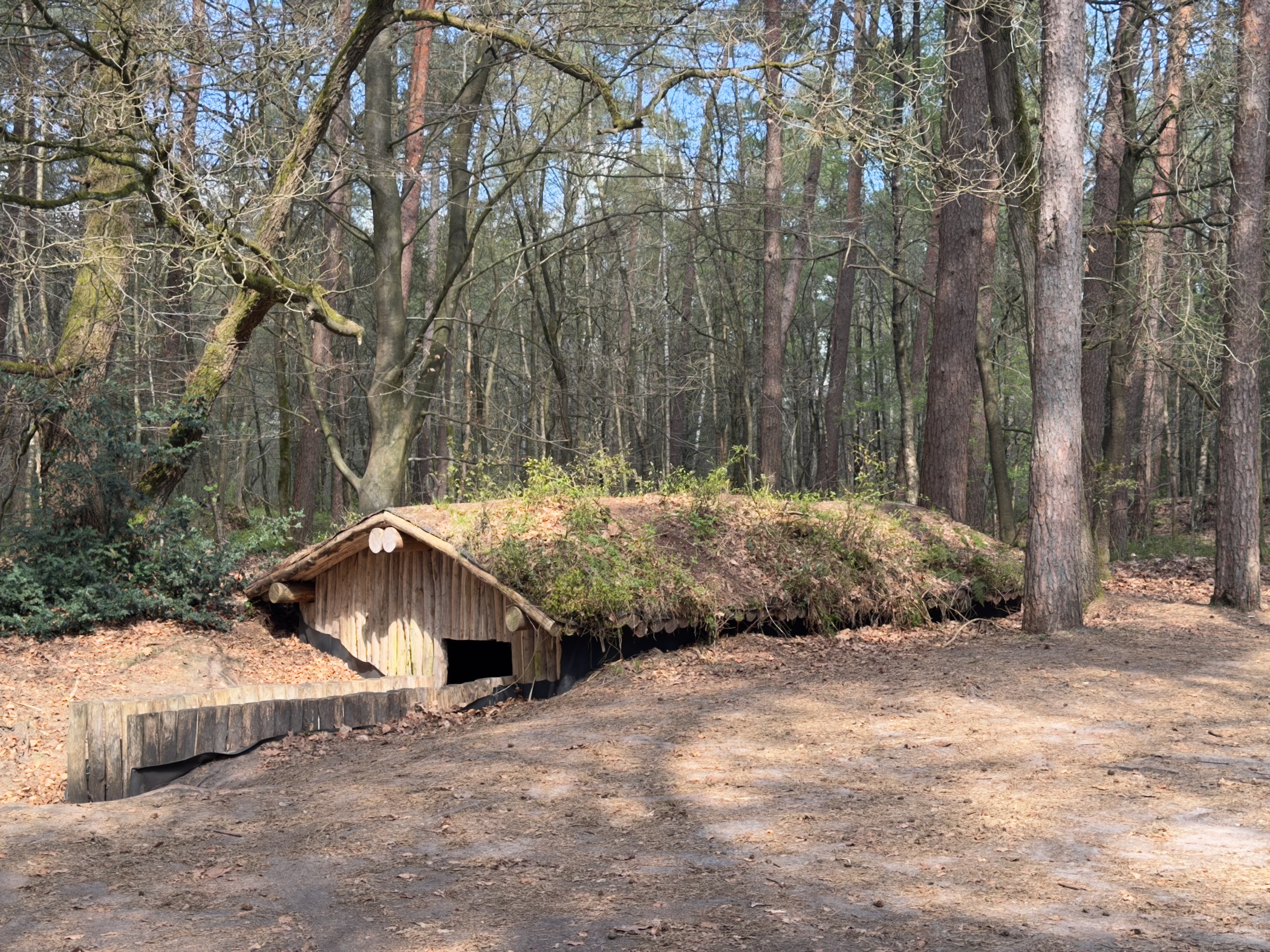 Wooden earth-covered shelter resembling a hobbit house beside a log bench in the forest