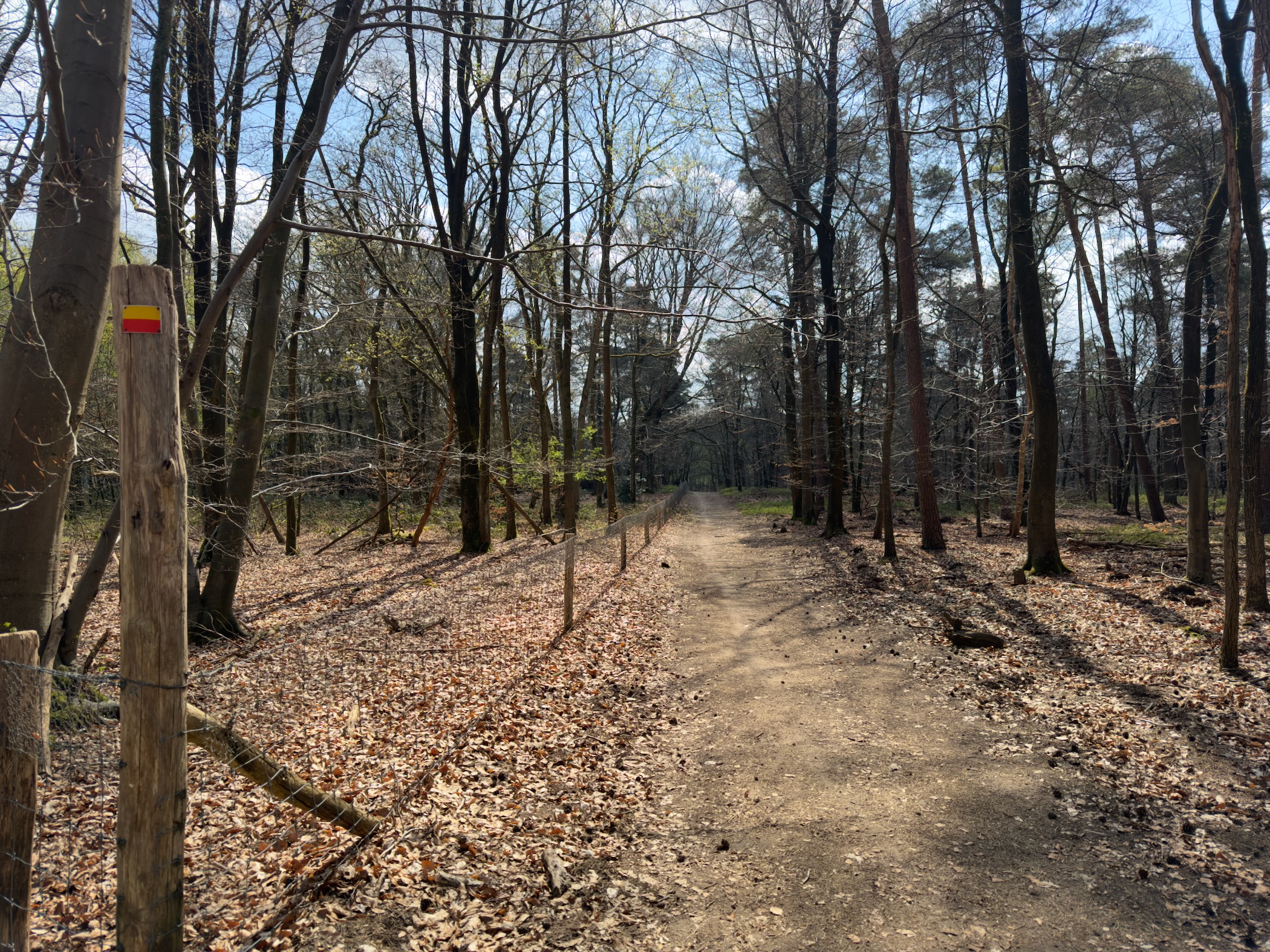 Leaf-covered trail through a deciduous forest with a red-and-yellow trail marker on a post