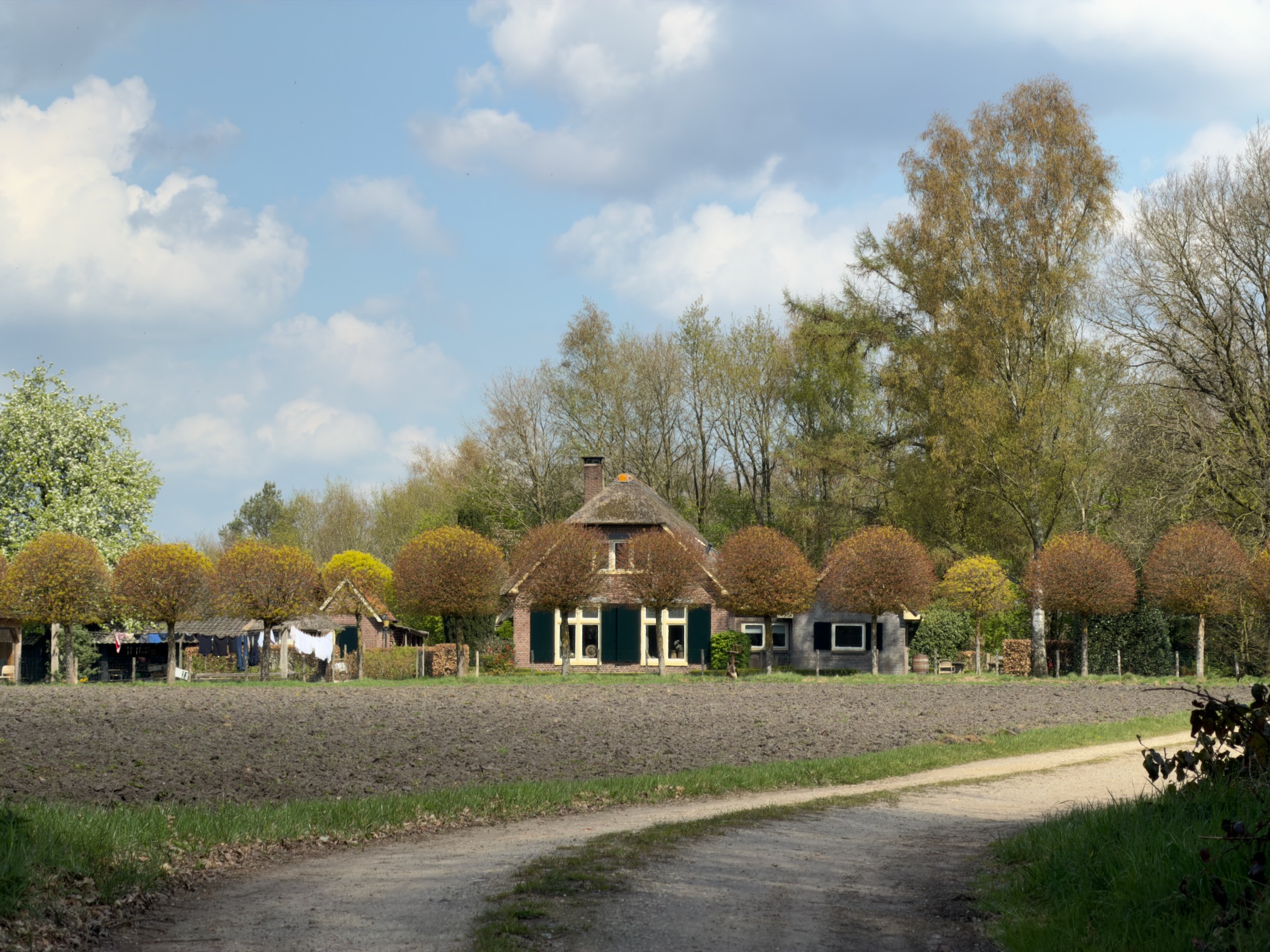 Thatched-roof farmhouse behind a ploughed field with pollarded trees and laundry on the line