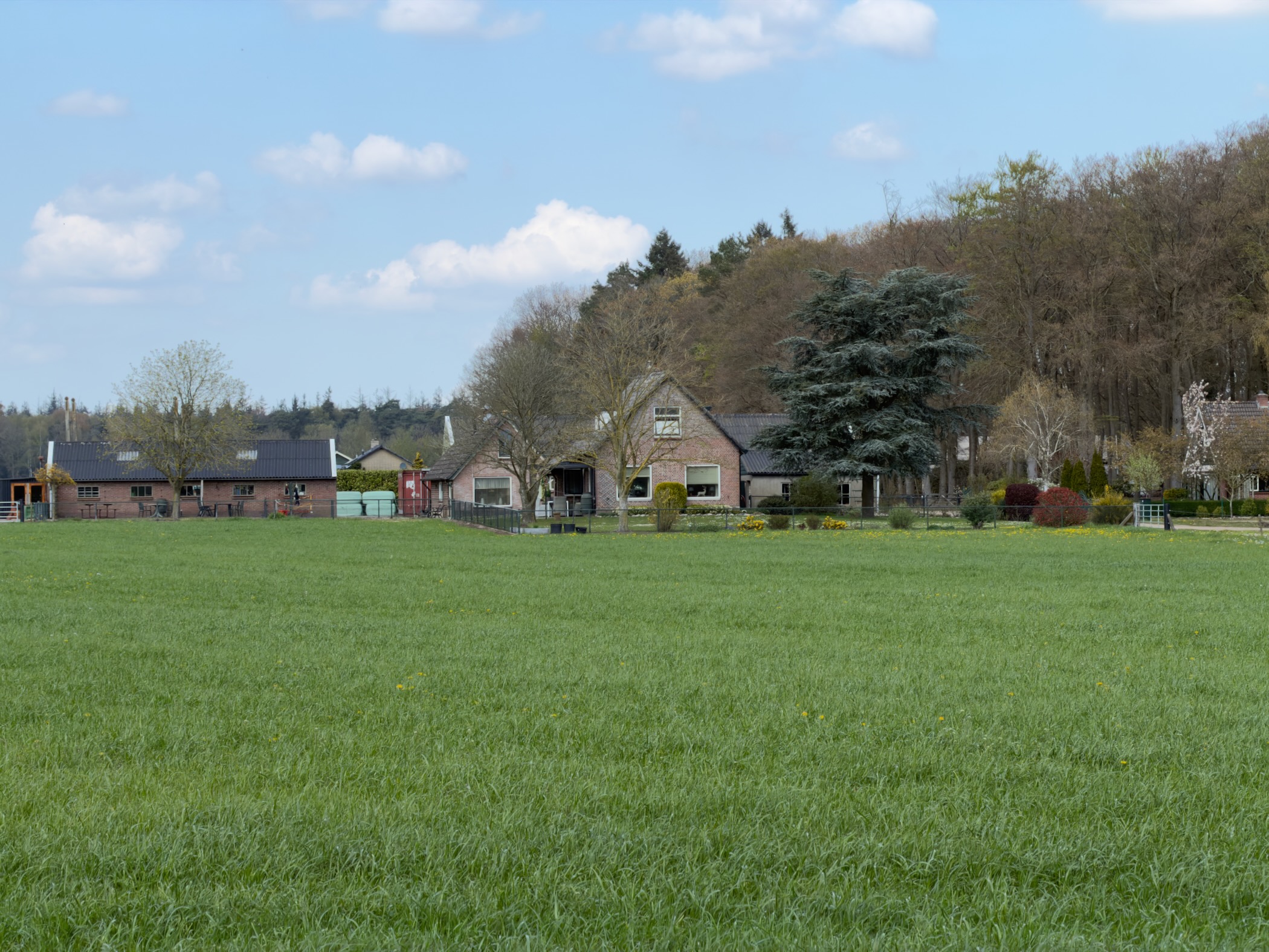 Farmstead seen across a lush green field with trees on the horizon