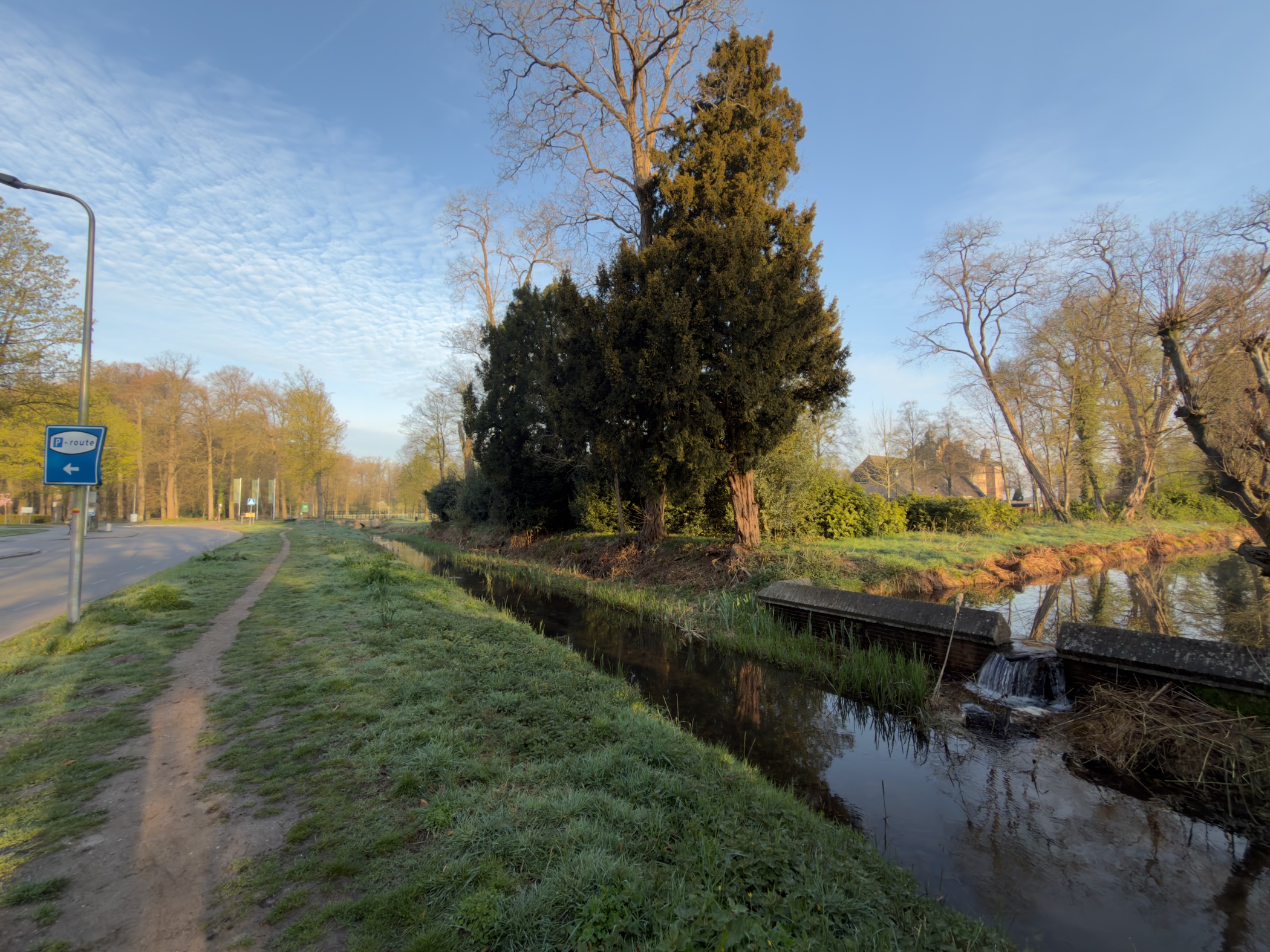 Stream with a small waterfall alongside a path in Vaassen, with a tall evergreen tree in the golden morning light