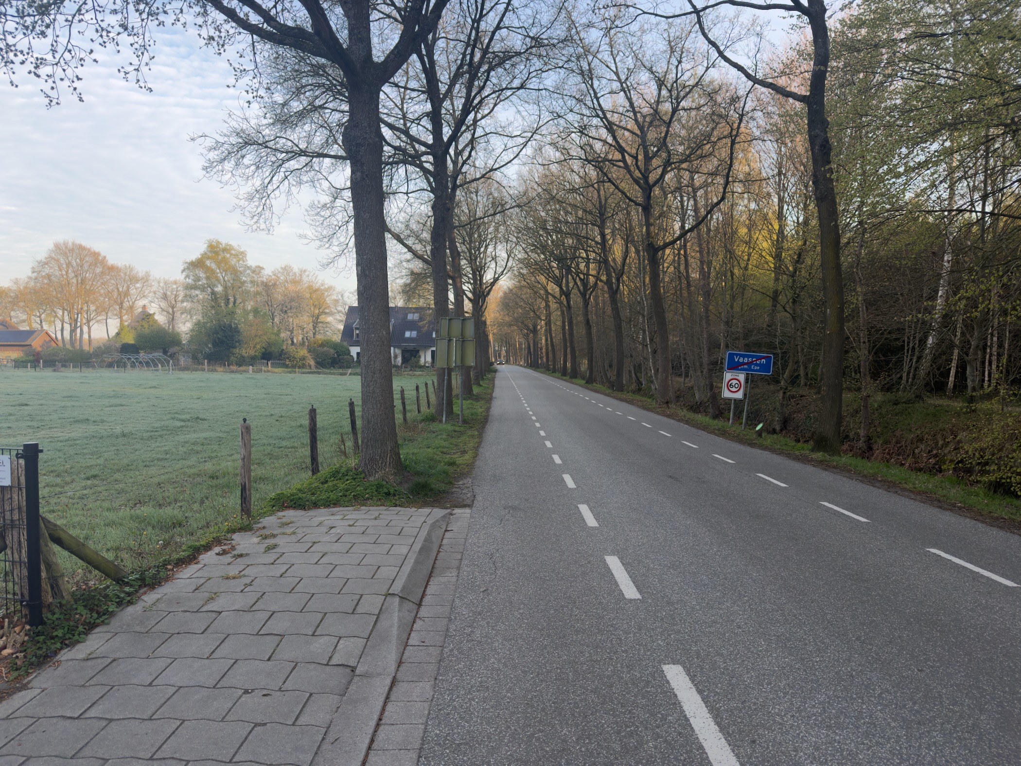 Road with the Vaassen village sign, a green meadow on the left and a tree-lined avenue ahead