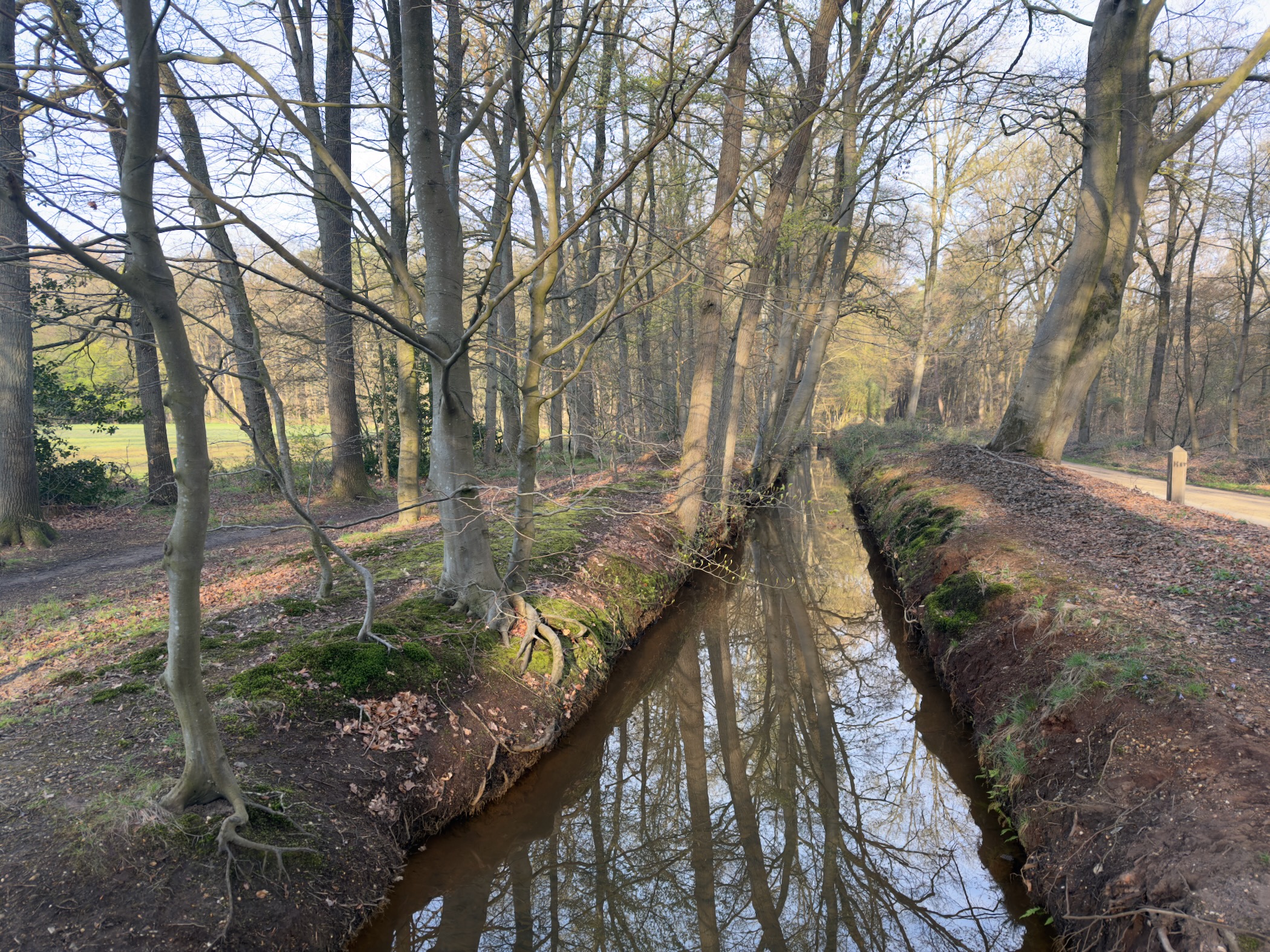 Stream flowing through a deciduous woodland with tree reflections in the still water