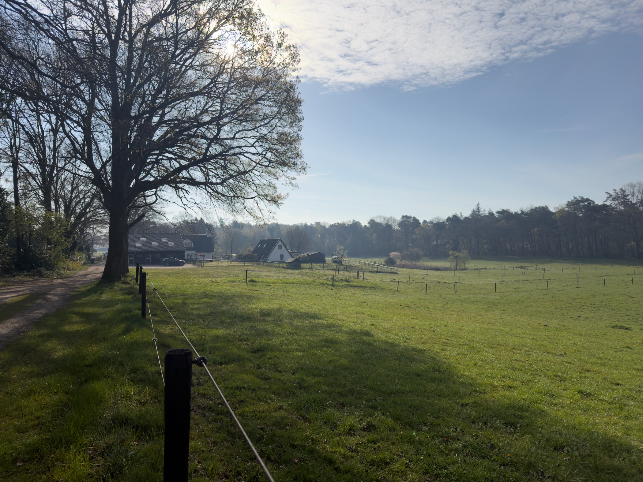 Green pasture with a farmhouse in the background, morning mist and fence posts along the trail