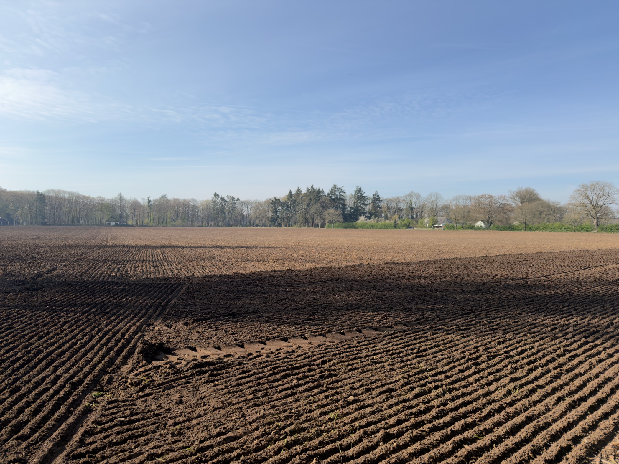 Freshly ploughed field with neat furrows stretching towards the forest edge