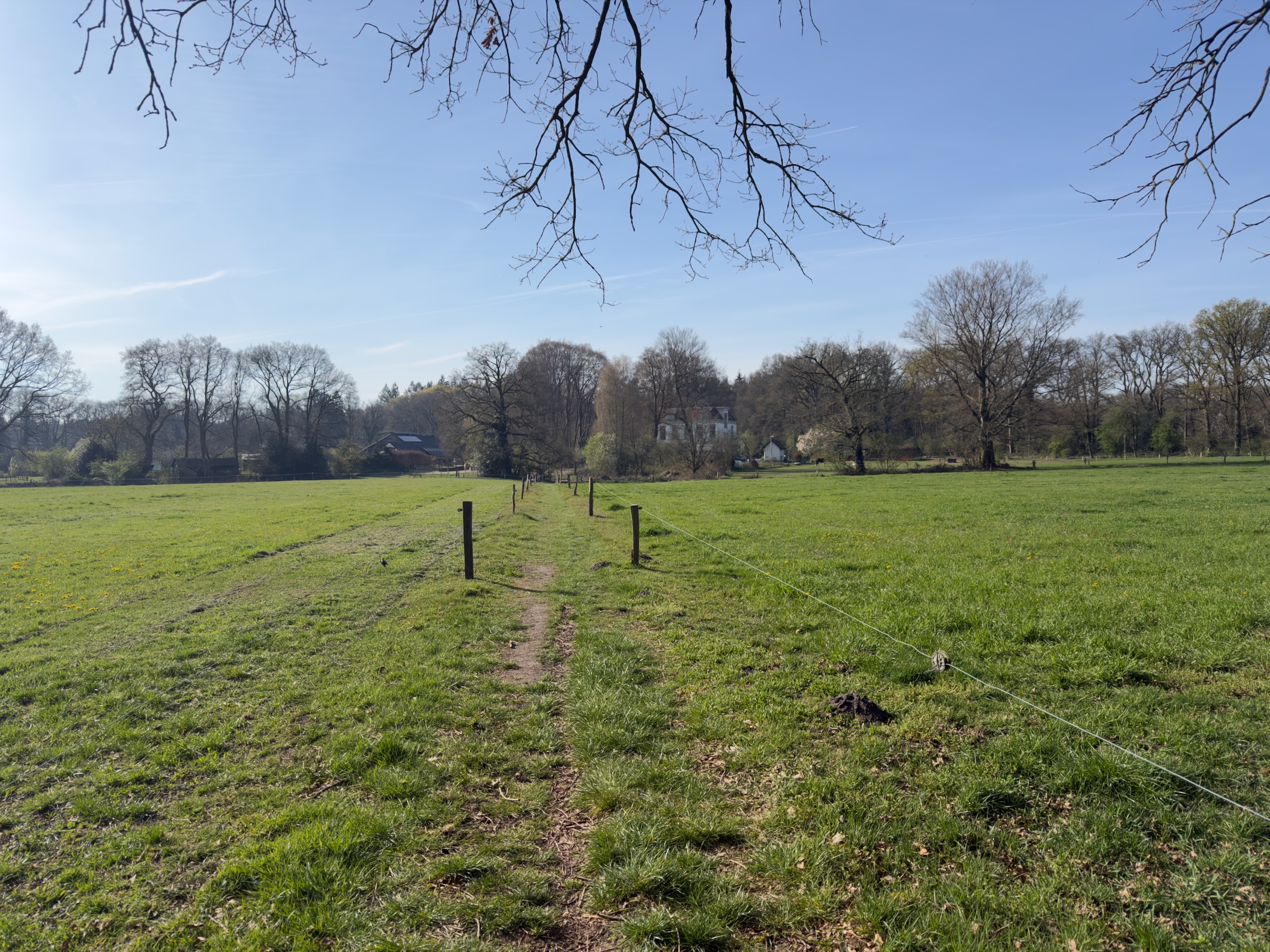 Footpath through a green meadow with fence posts, houses and trees in the distance