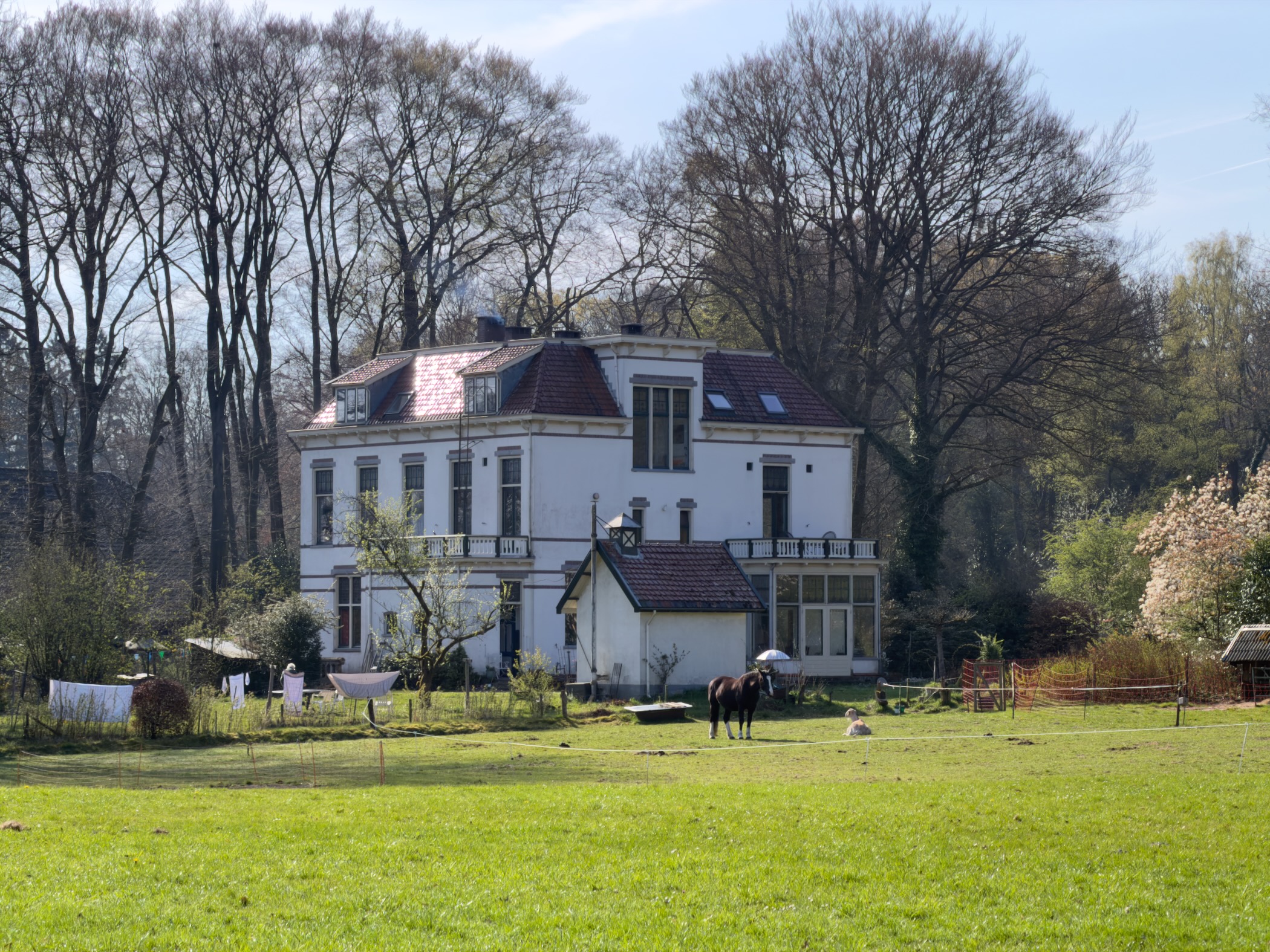 White manor house with a horse grazing on the lawn, surrounded by tall bare trees