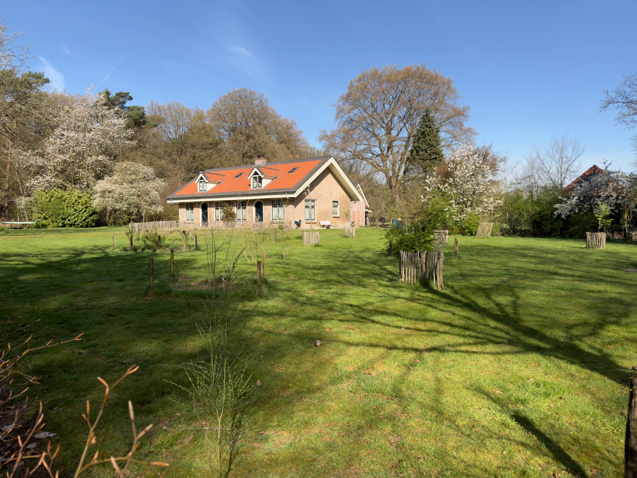 Farmhouse with an orange roof and green garden with blossoming trees in spring
