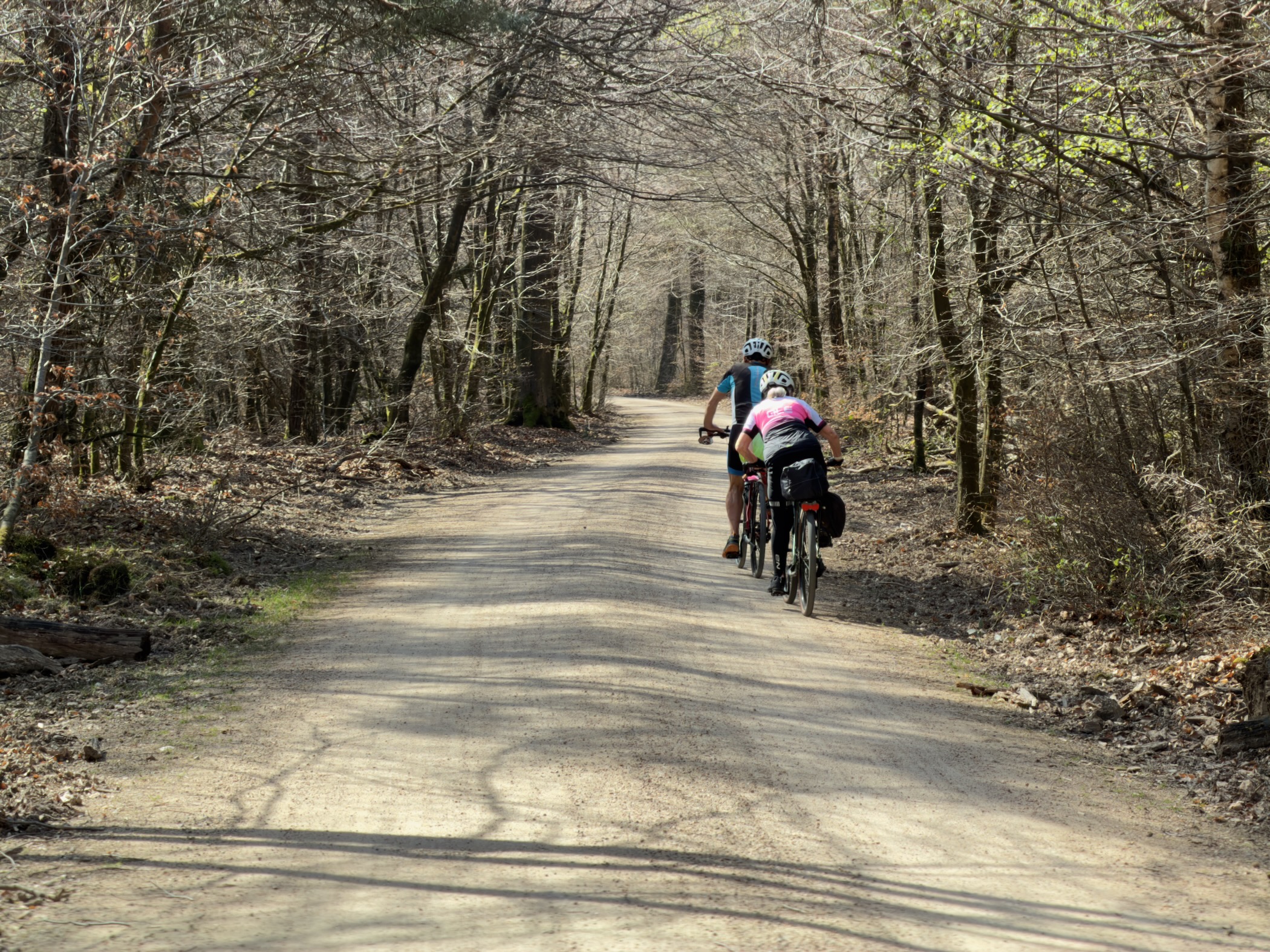 Two cyclists riding along a shaded forest road through bare deciduous trees