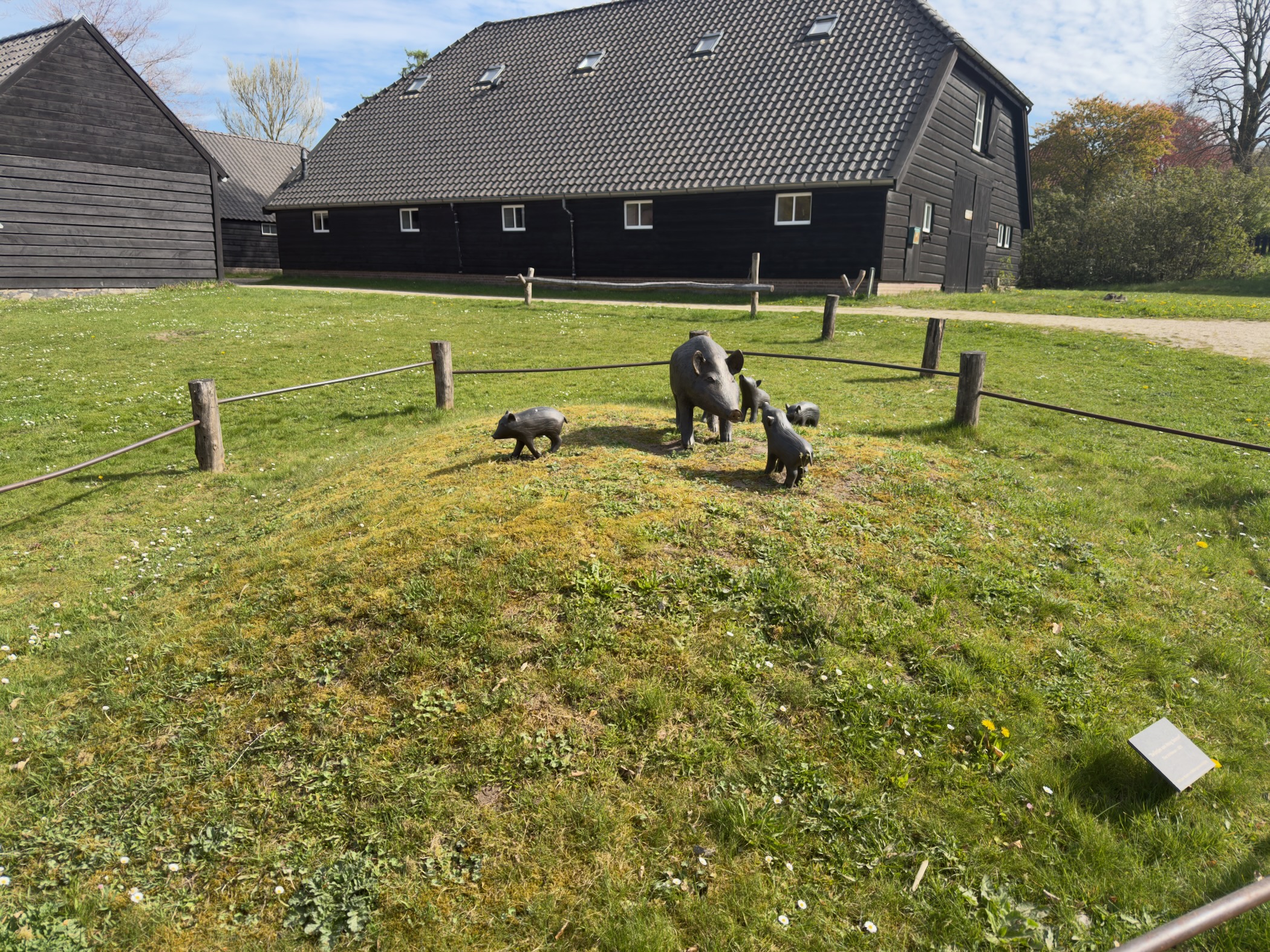 Bronze wild boar sculptures on grass in front of a large black barn in Hoog Soeren