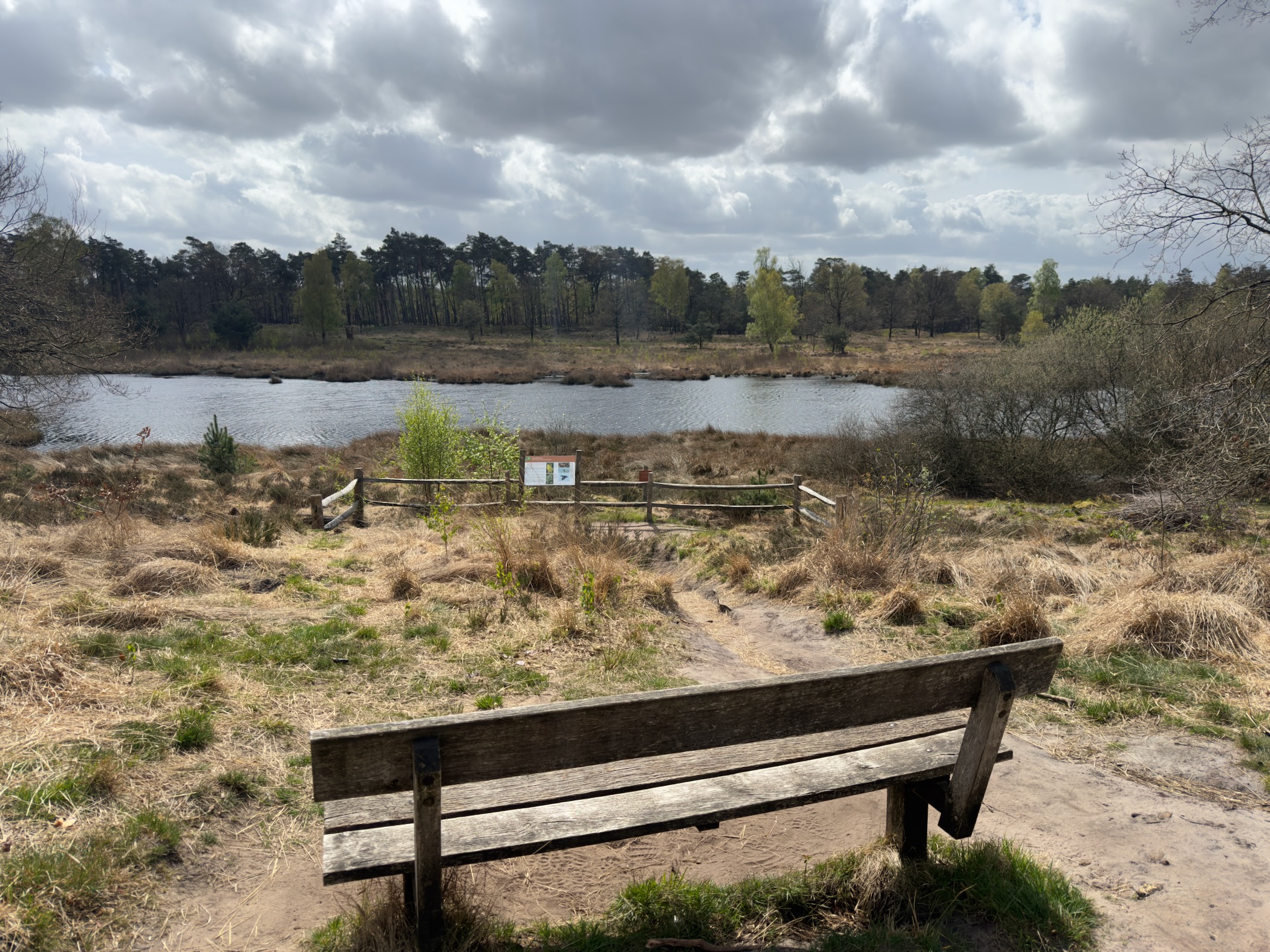 Wooden bench overlooking a heath pond with an information sign, under a cloudy sky