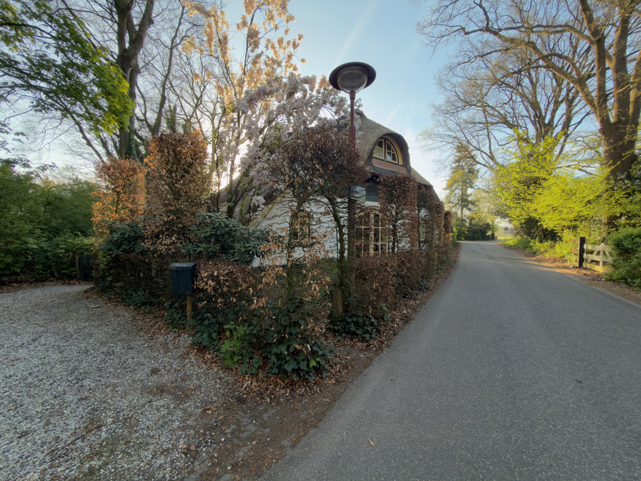 Charming thatched-roof farmhouse along a quiet country road with blooming magnolia
