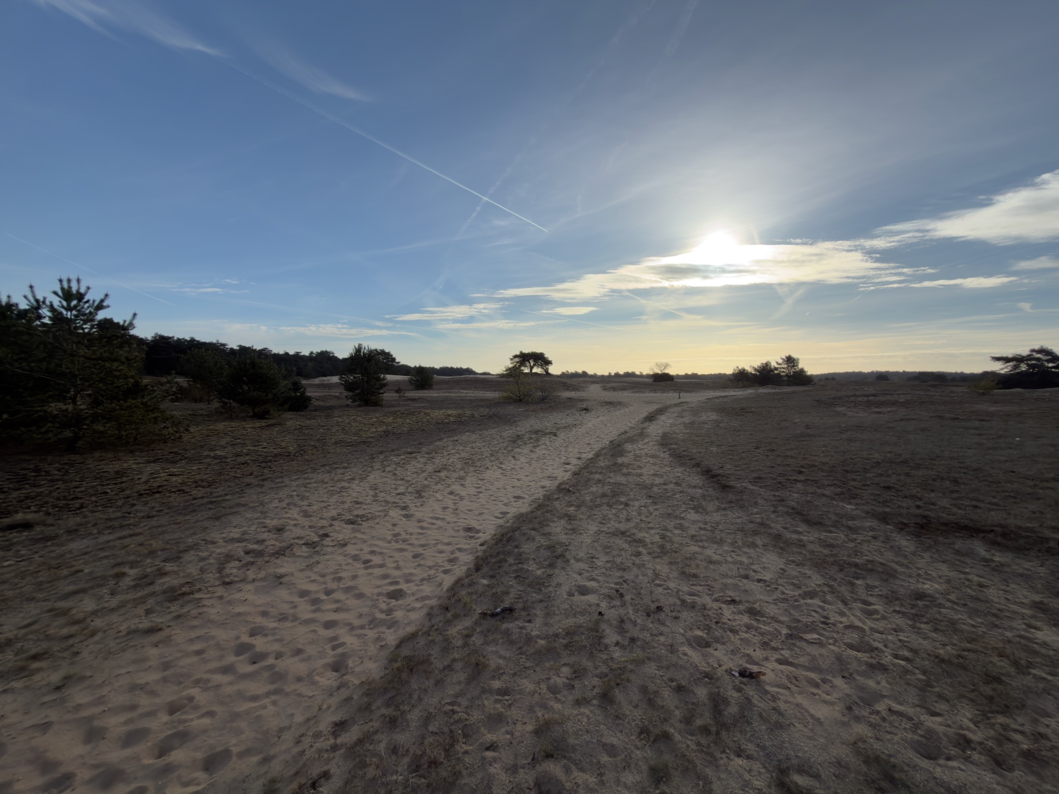 Sandy trail stretching across the Kootwijkerzand towards the horizon