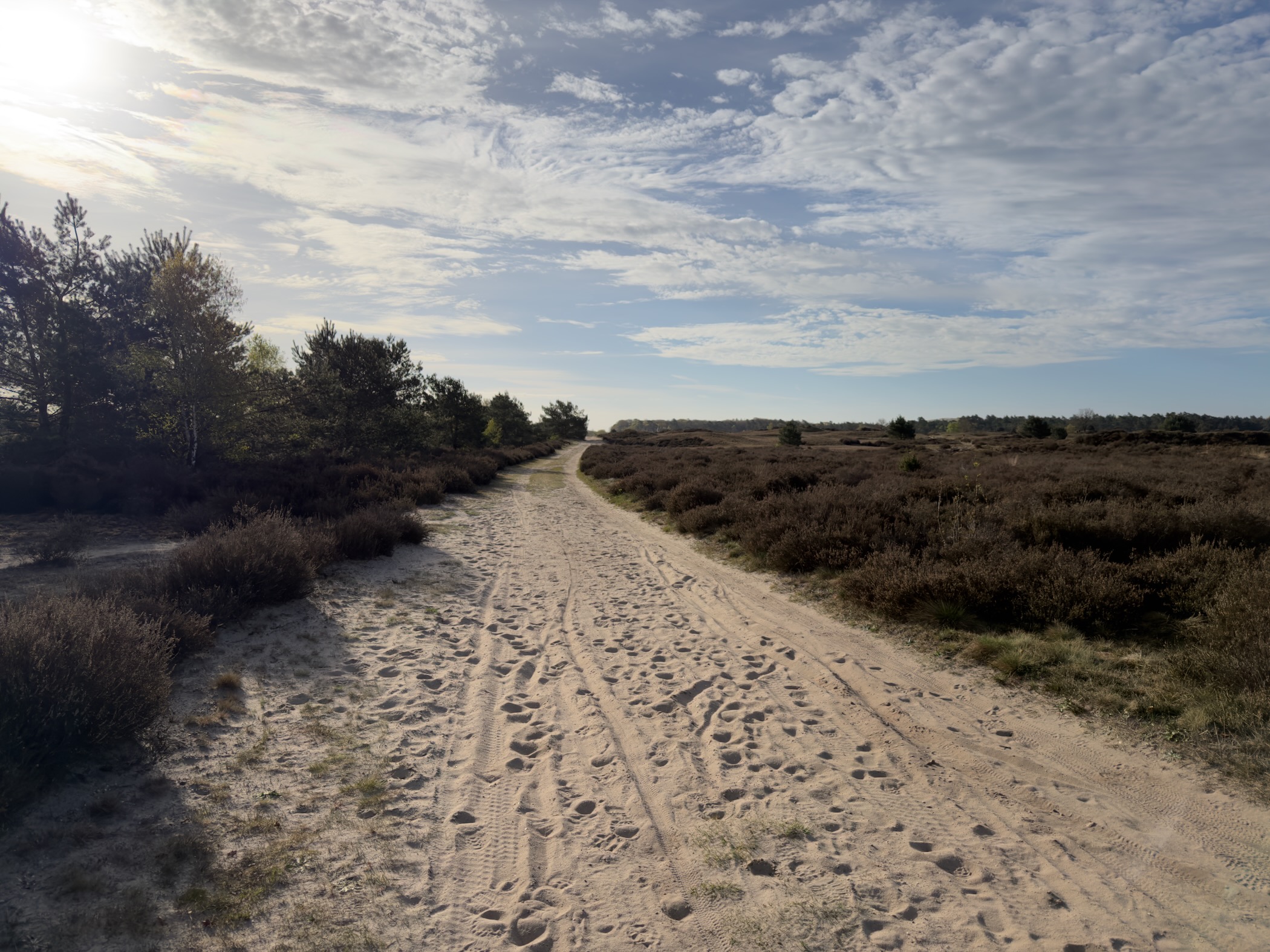 Sandy path winding through heather fields on the Hoog Buurlosche Heide