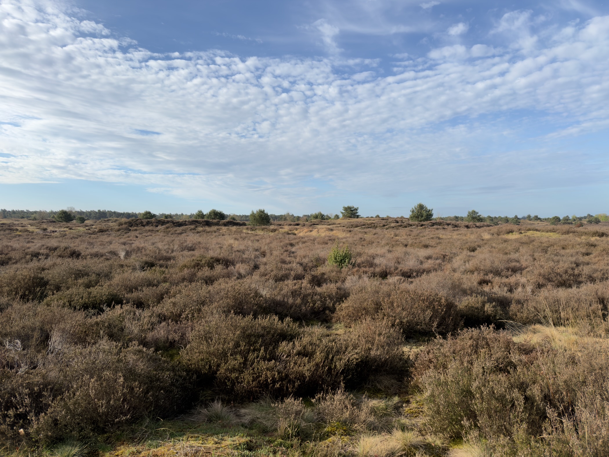 Wide view over heathland with scattered clouds in the sky