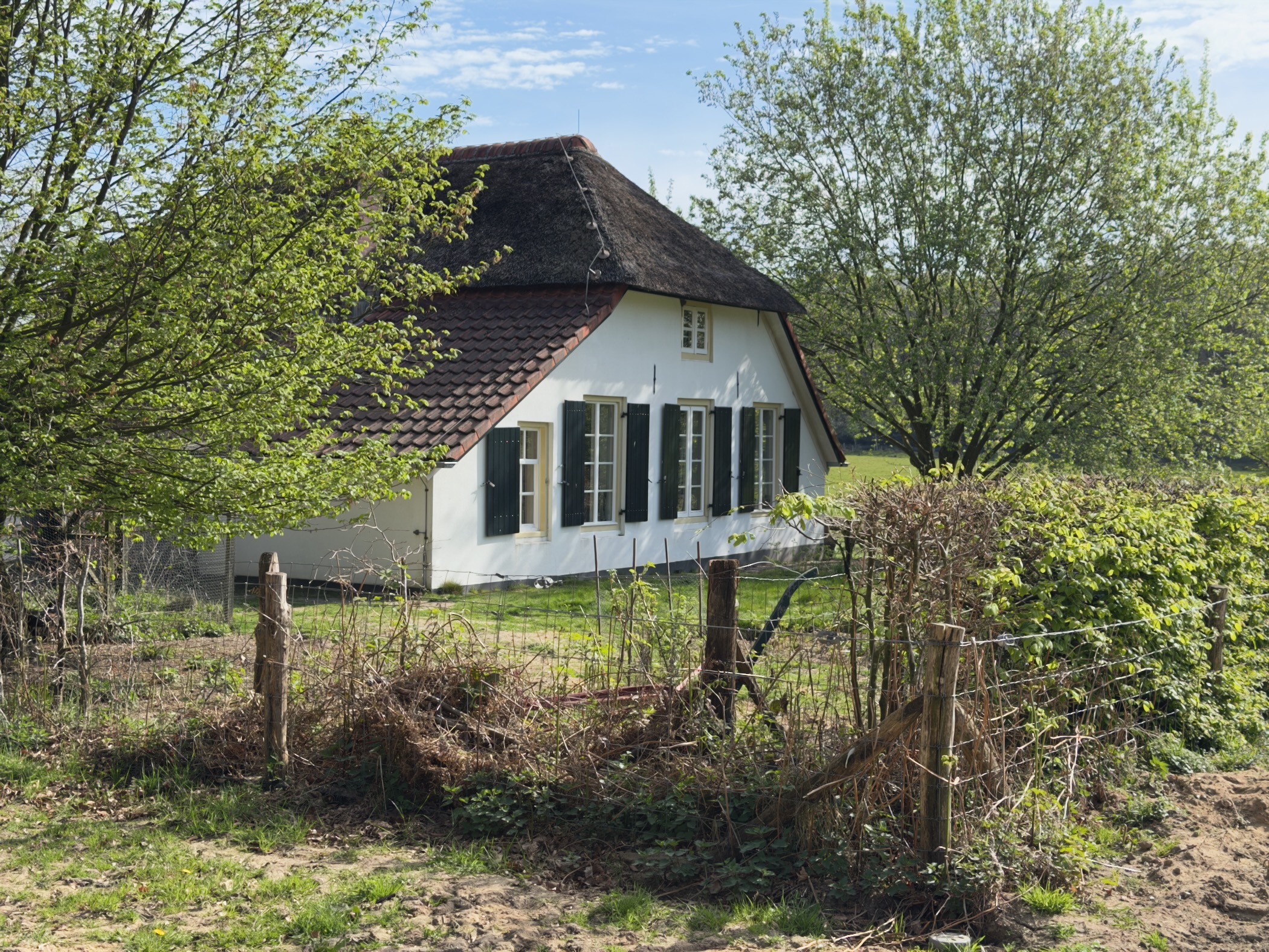 White farmhouse with dark shutters surrounded by hedges and spring greenery