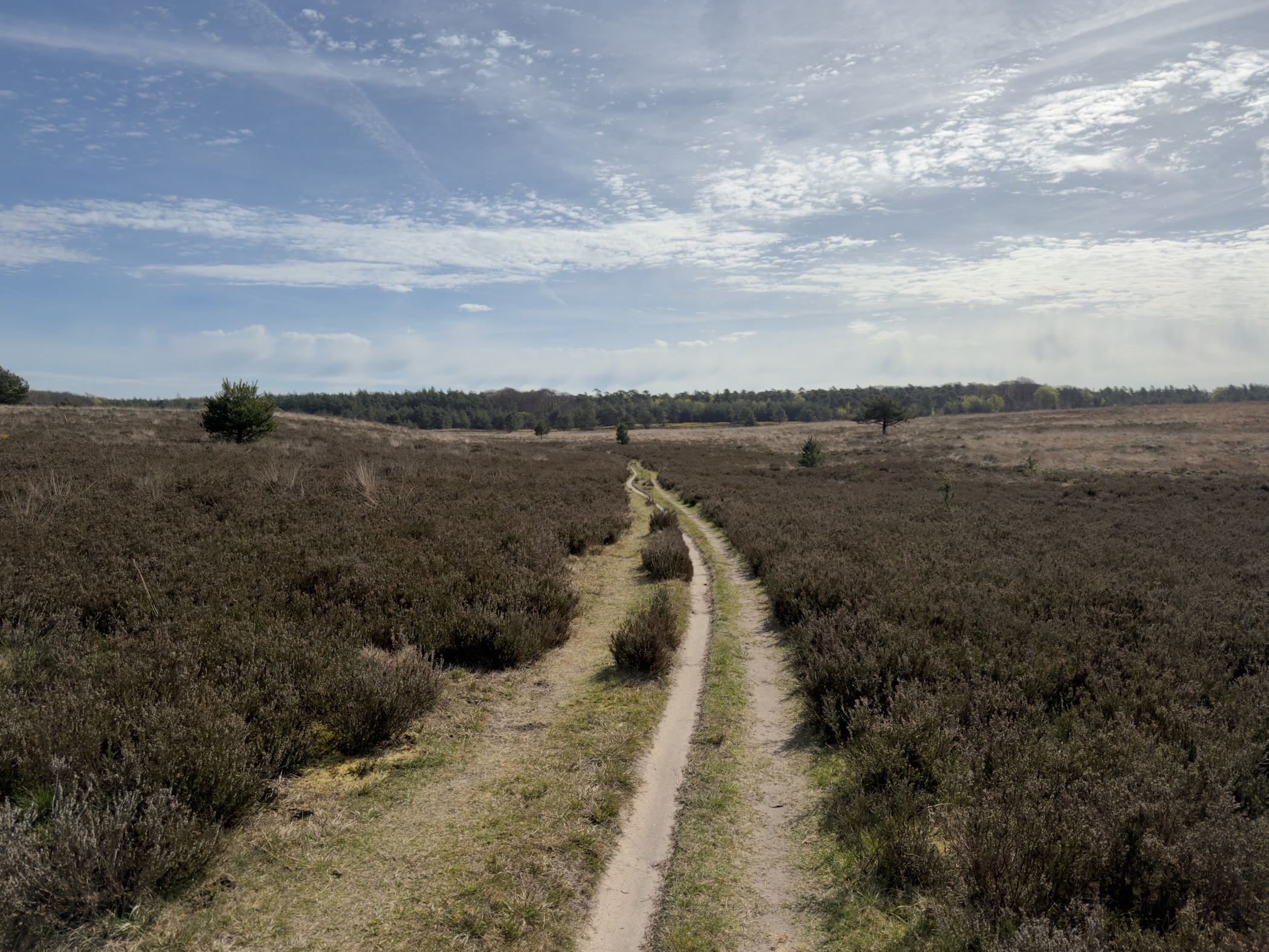 Narrow single-track trail stretching across open heathland towards distant trees