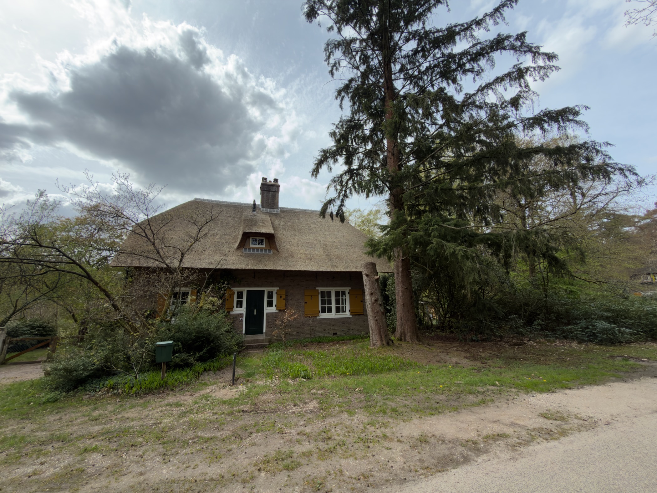 Thatched-roof house with yellow shutters near tall evergreen trees in Hoenderloo