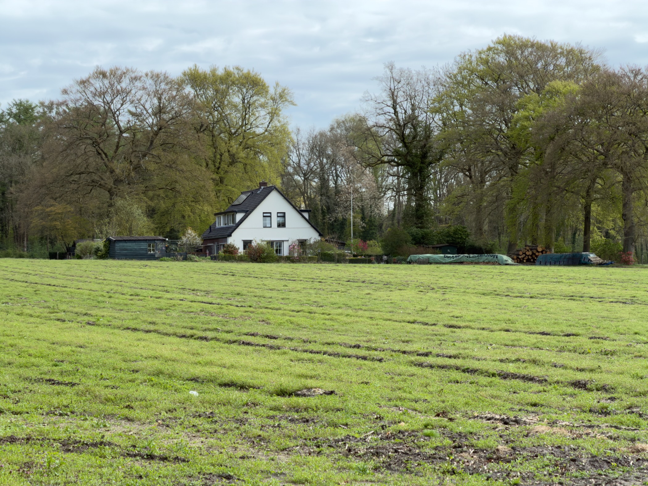 White farmhouse at the edge of a forest seen across a bare green field