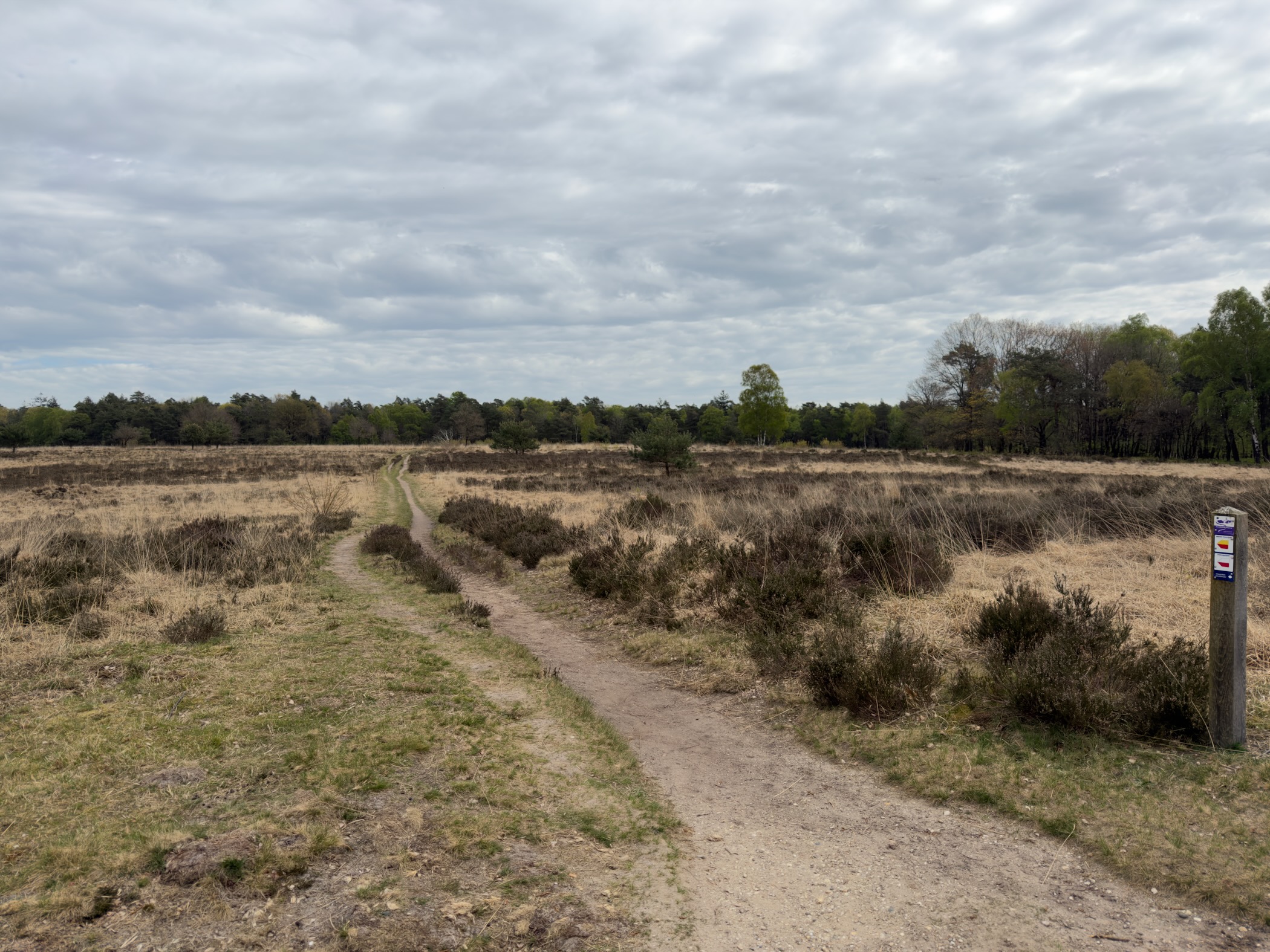 Trail marker post beside a sandy path crossing rolling heathland
