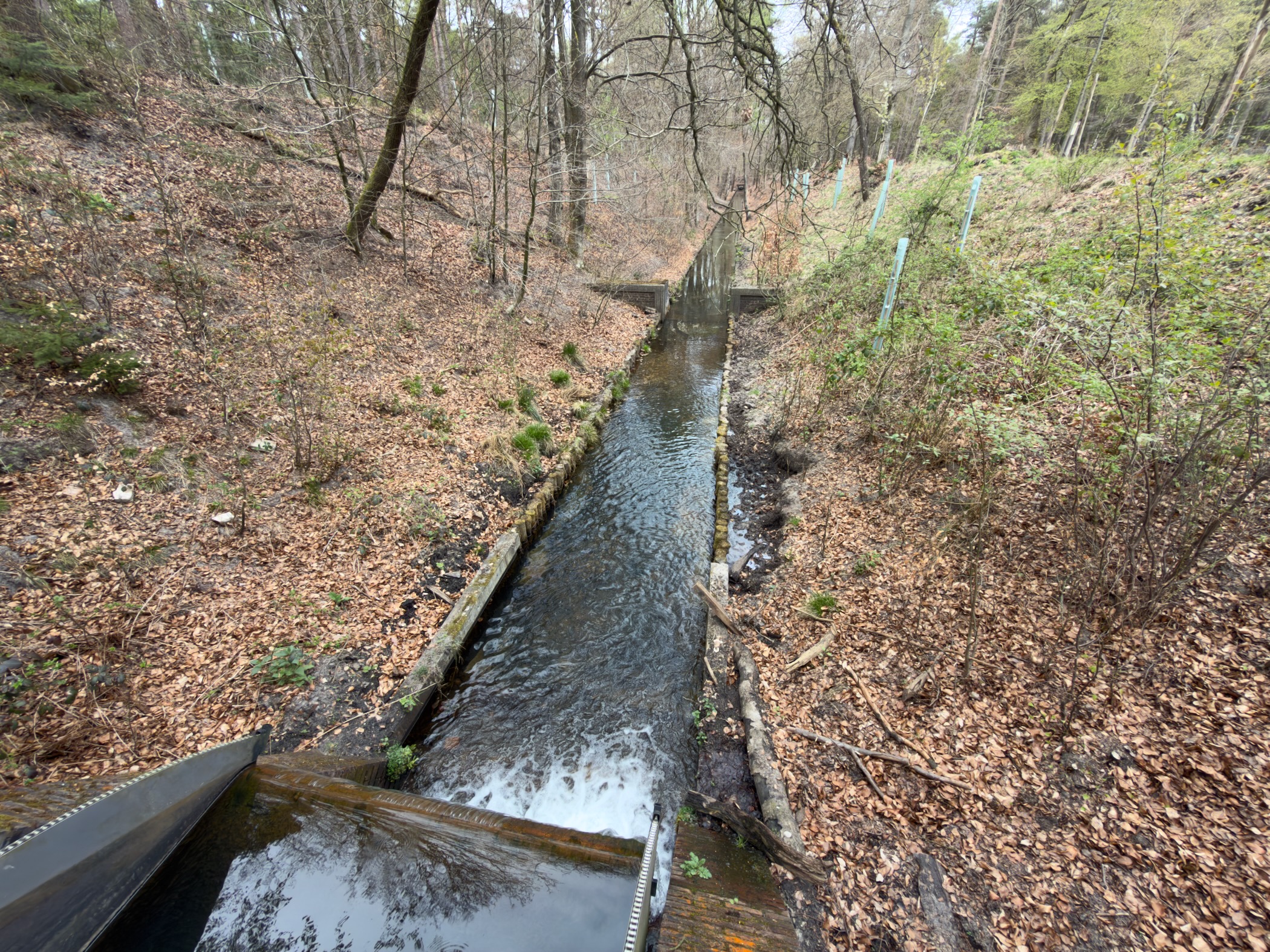 Long straight forest brook seen from a bridge with a small weir downstream