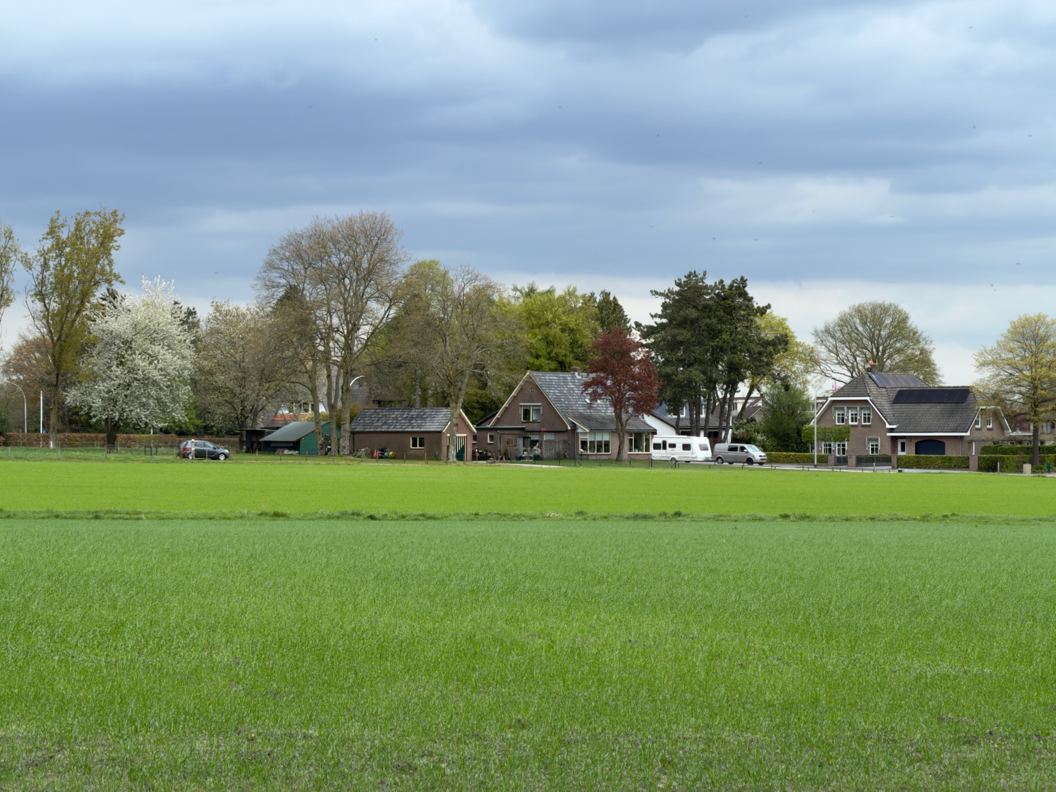 Farm buildings seen across a green pasture with a flowering spring tree