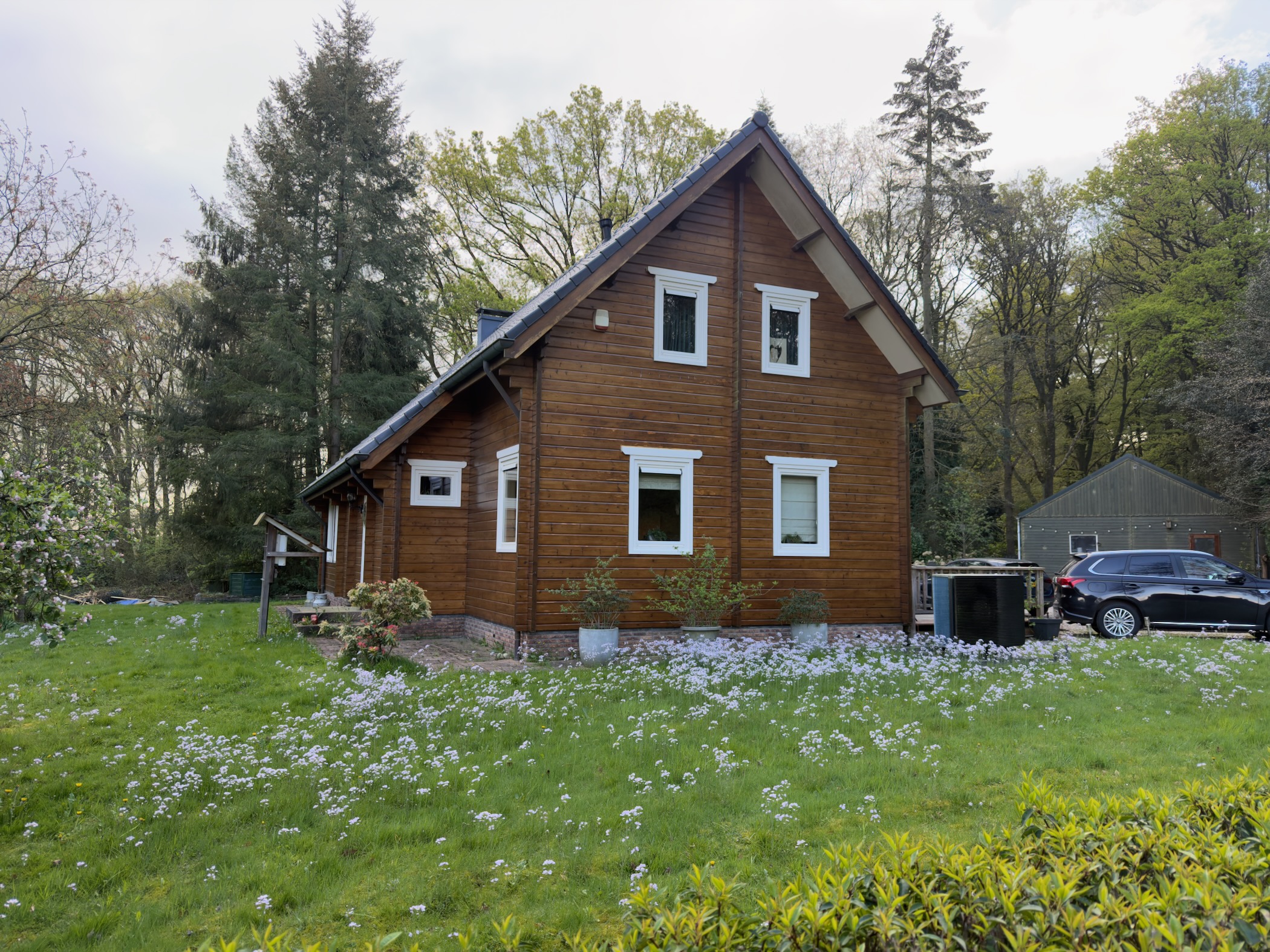 Timber chalet-style house at the forest edge with a garden of white spring flowers