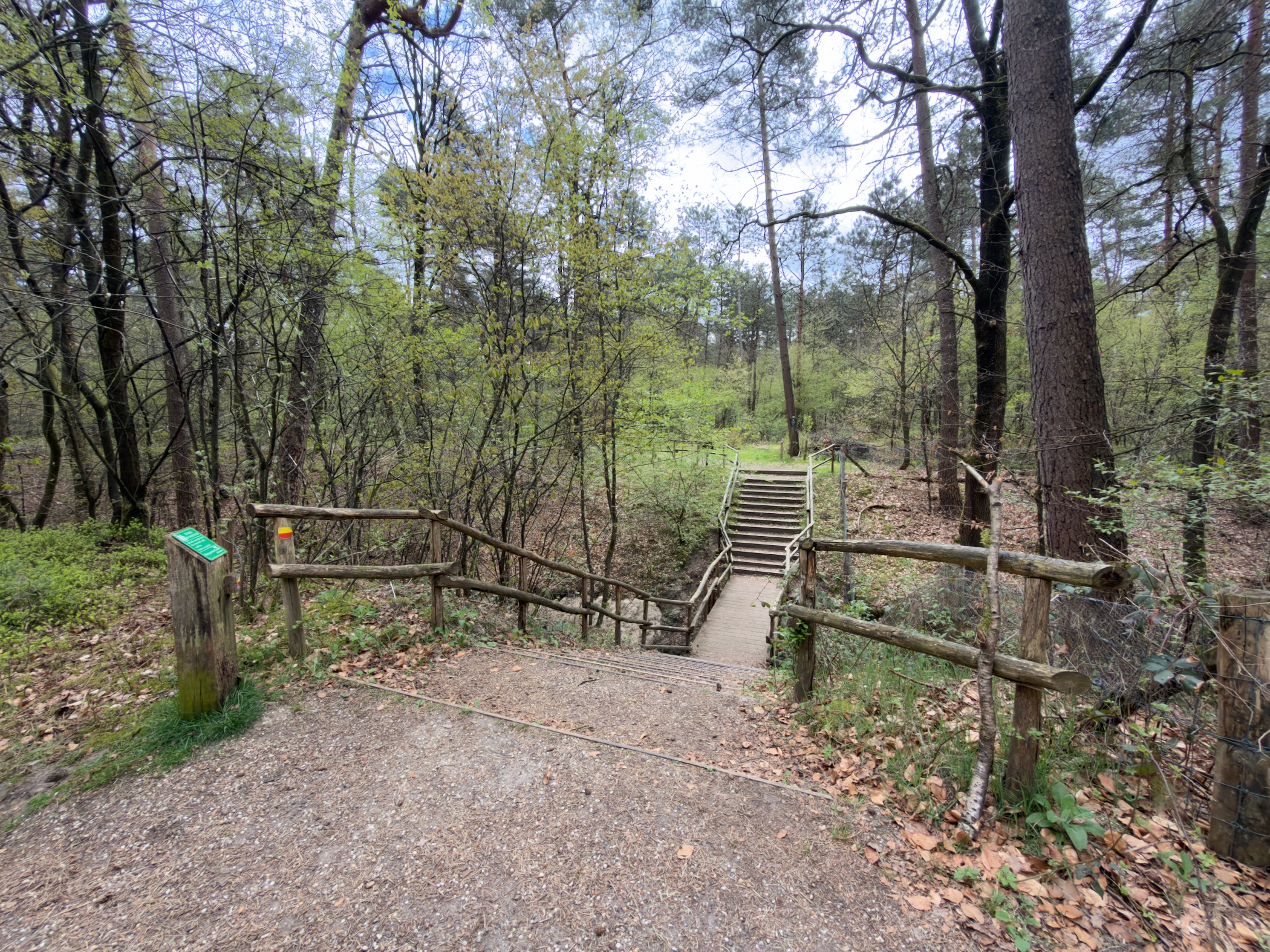 Wooden rail bridge and stairs leading into a wooded valley from a sandy path junction