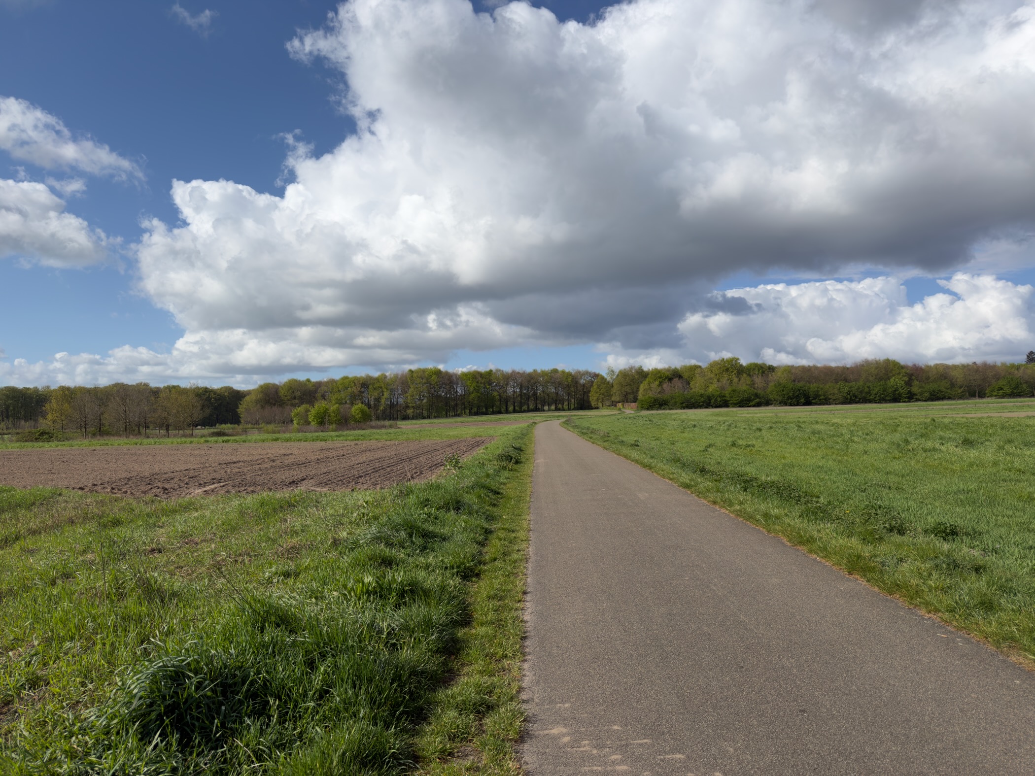 Paved bike path between a ploughed field and a pasture under a dramatic cloudy sky