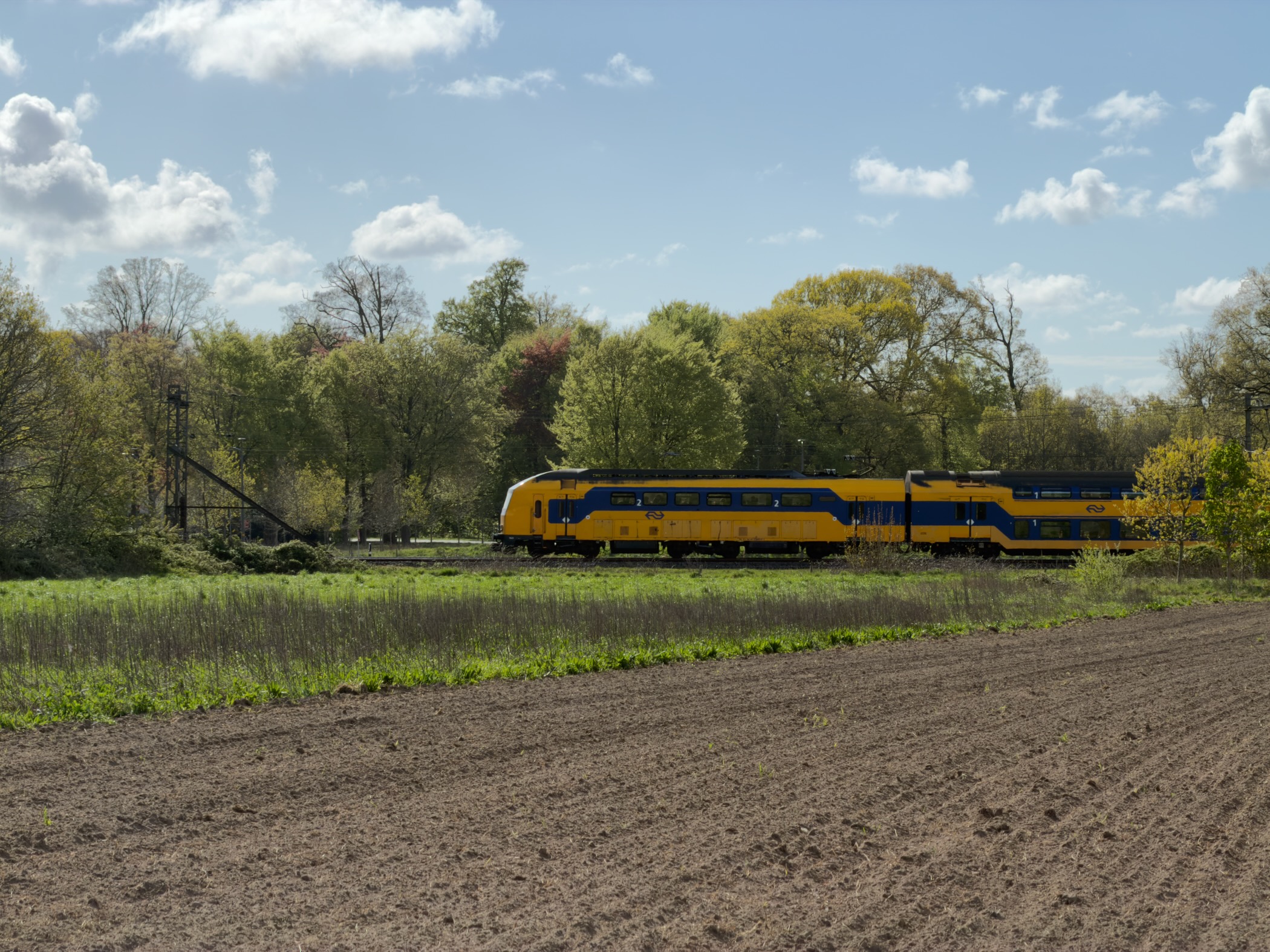 NS intercity train in yellow and blue livery passing a field at the edge of a forest