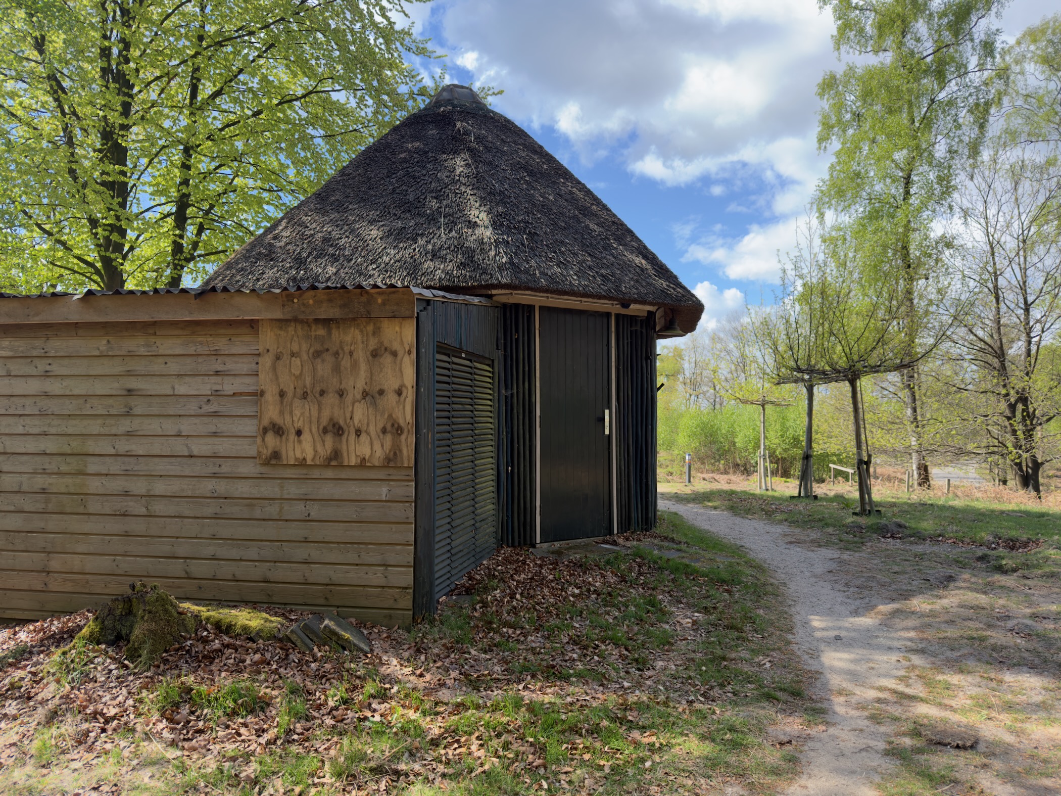 Wooden hut with a thatched conical roof and black door at the edge of the forest