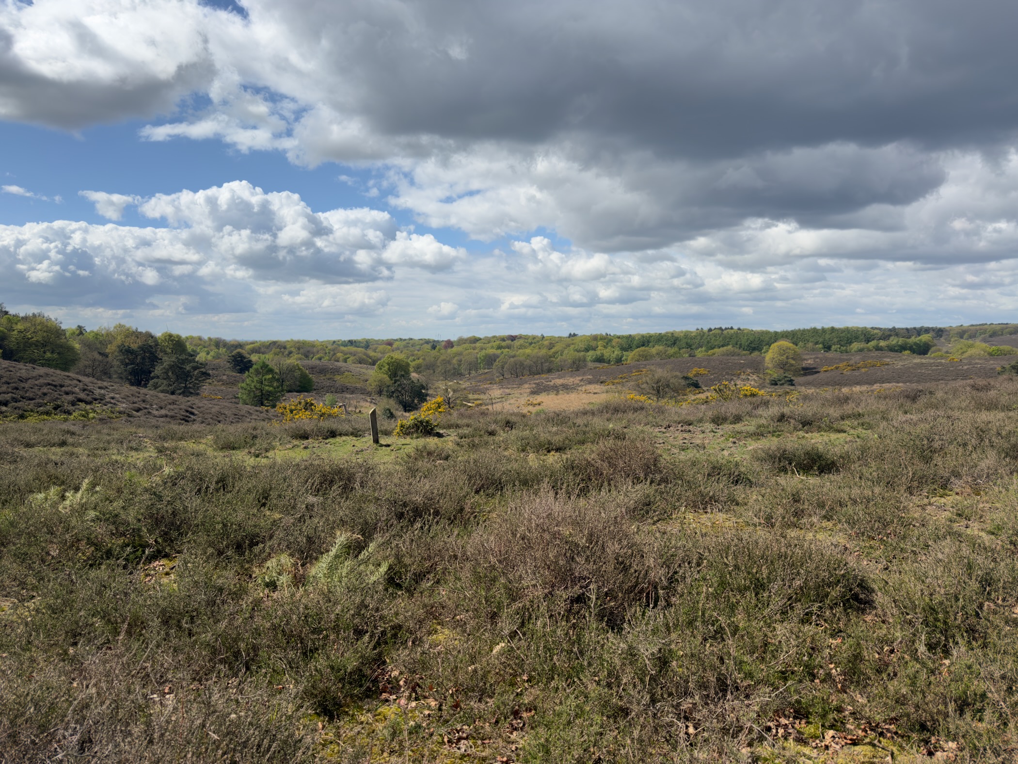 Wide Posbank heathland panorama with dark clouds building overhead
