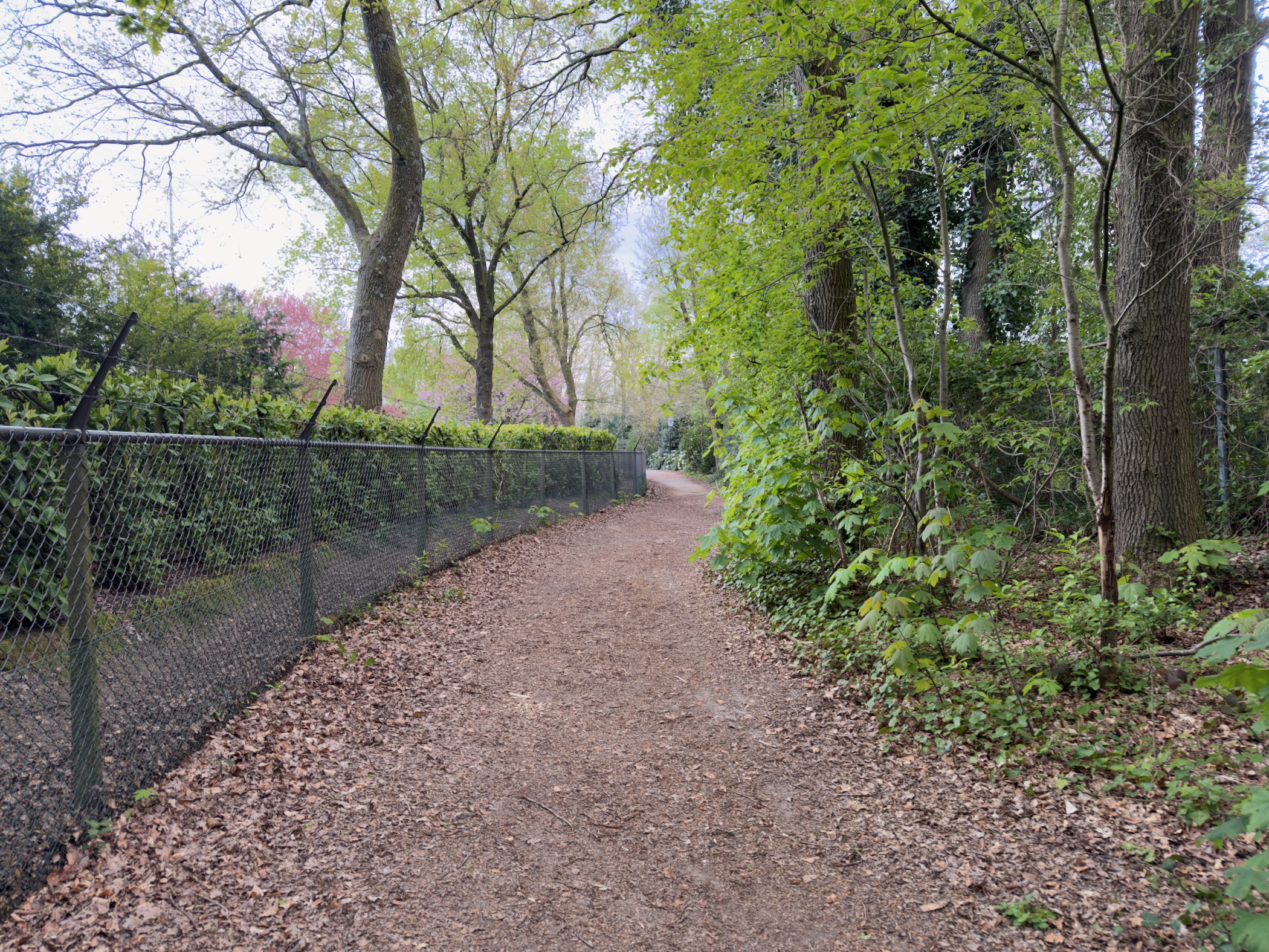 Gravel park path along a wire fence between trees on the edge of a country estate