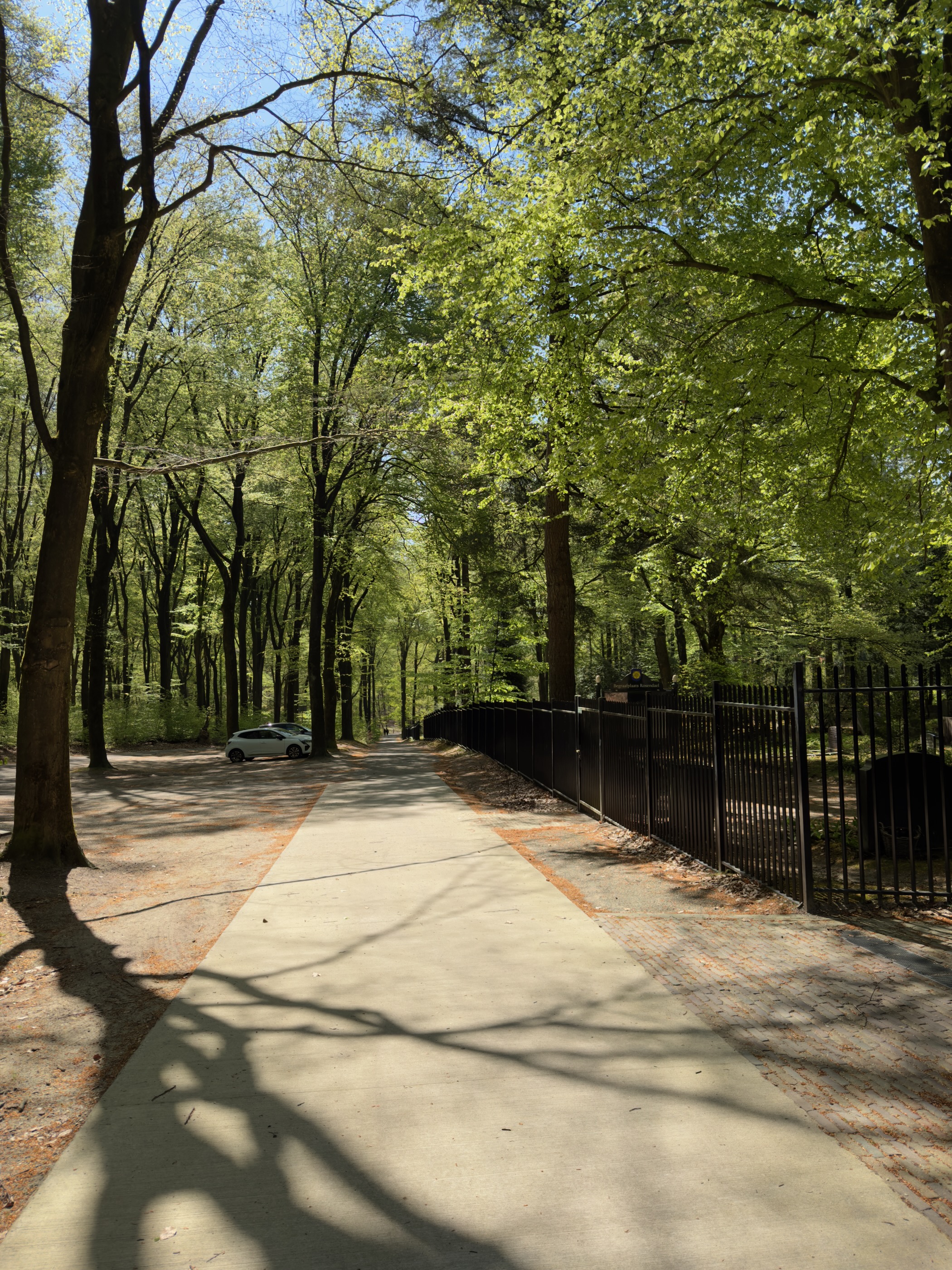 Broad paved lane through tall beeches beside the wrought-iron fence of the Rosendael estate