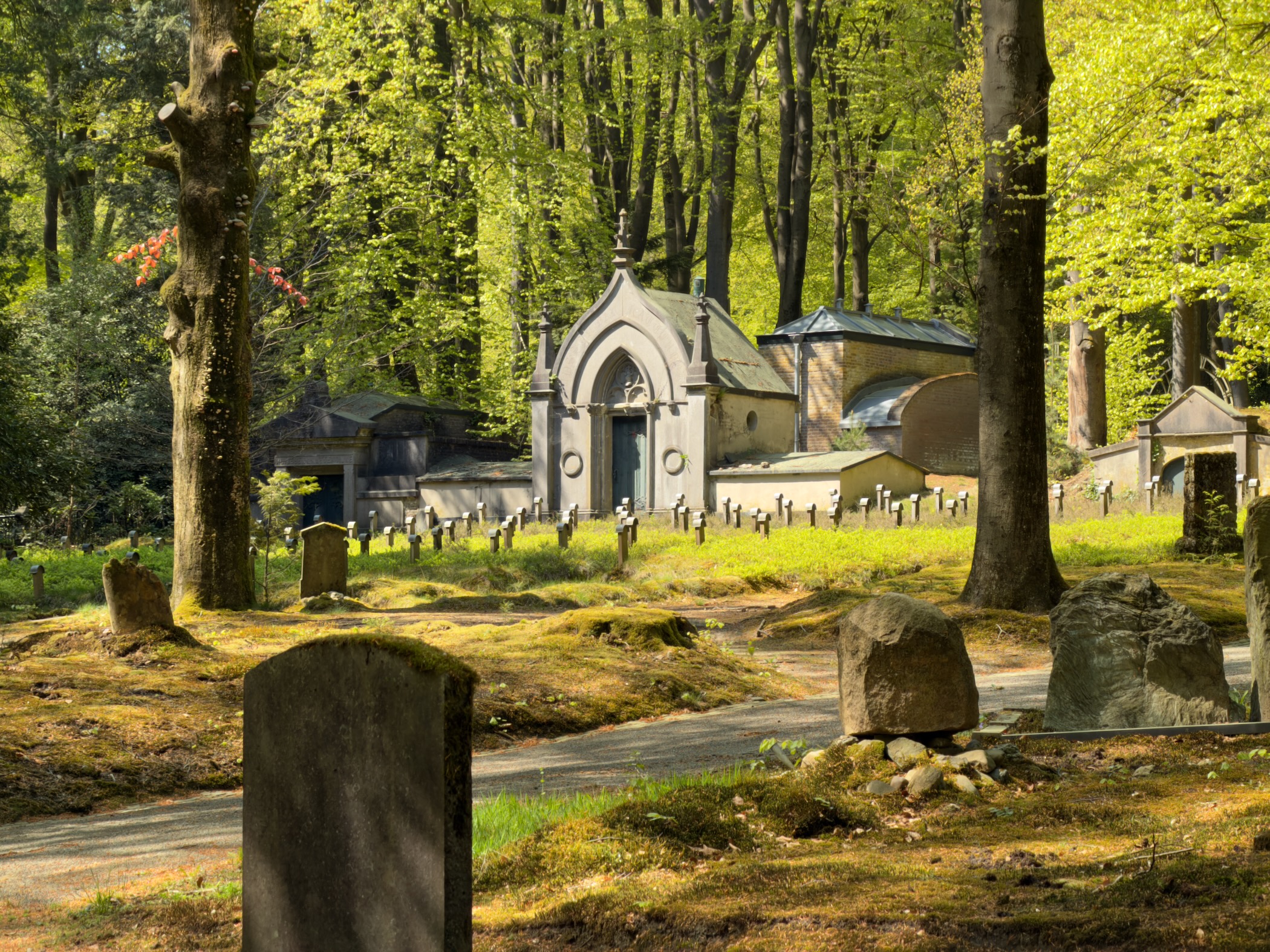 Forest cemetery with weathered headstones and a Gothic-style chapel among beech trees