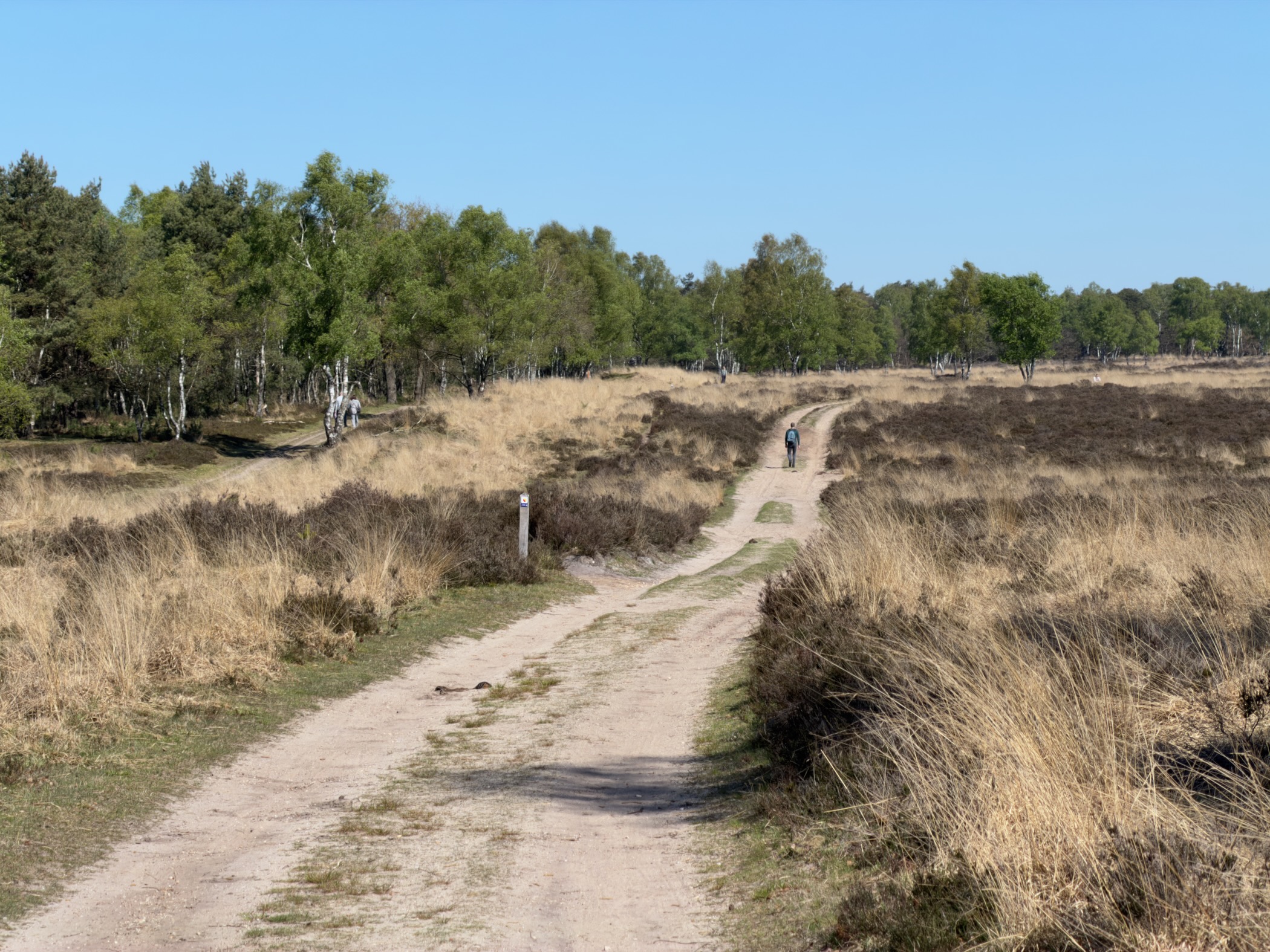 Sandy heathland track with a trail marker post and a distant hiker