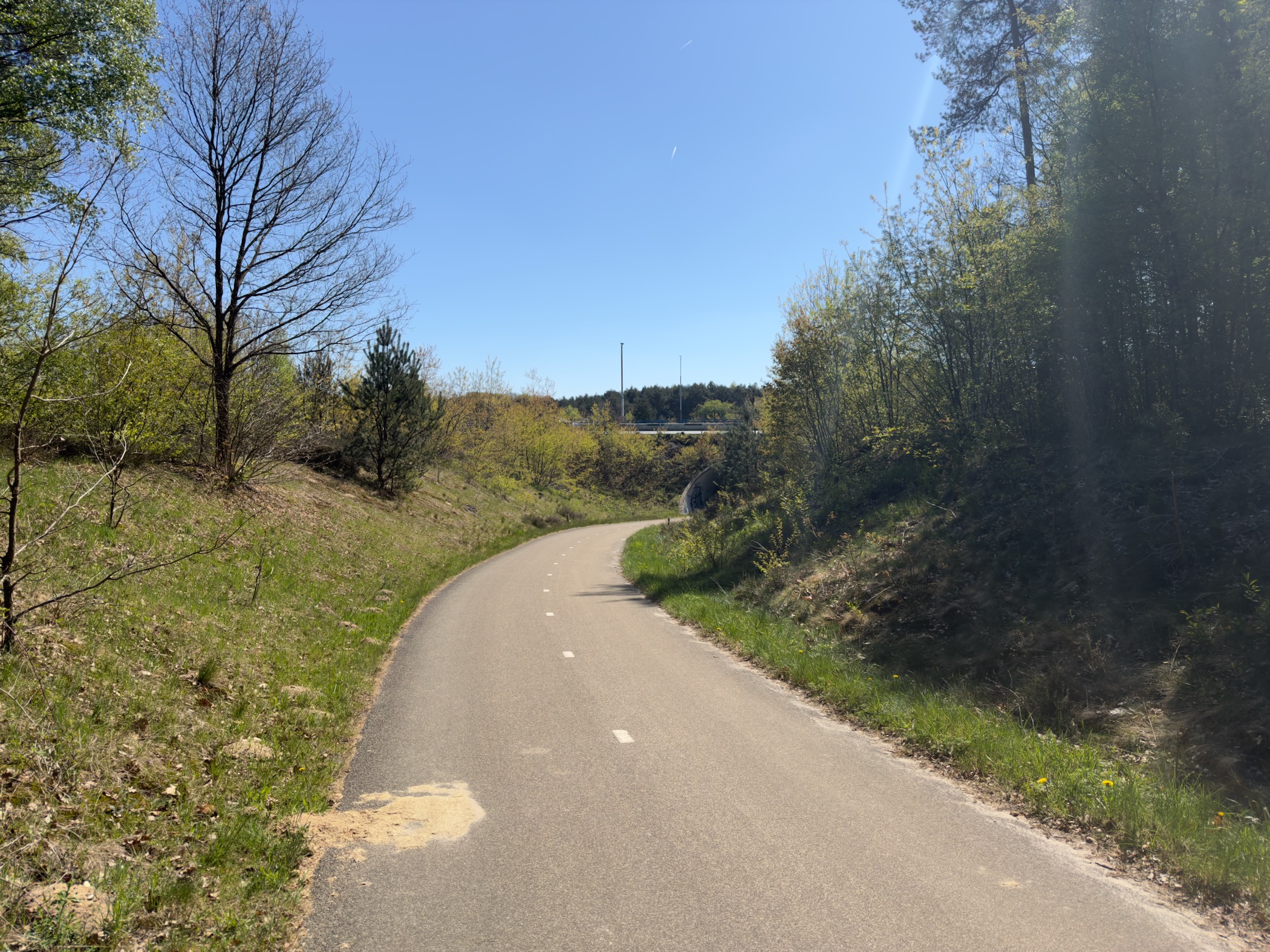 Paved cycle path curving through grassy scrubland toward a viaduct