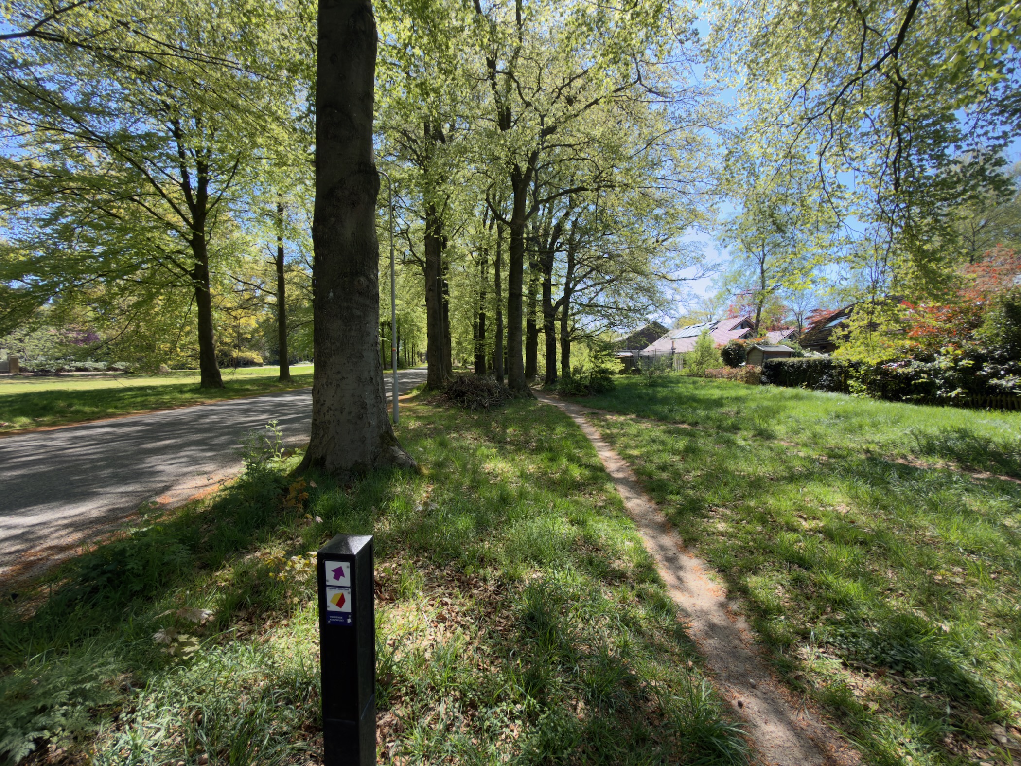 Tree-lined verge beside a quiet residential road with a trail marker post