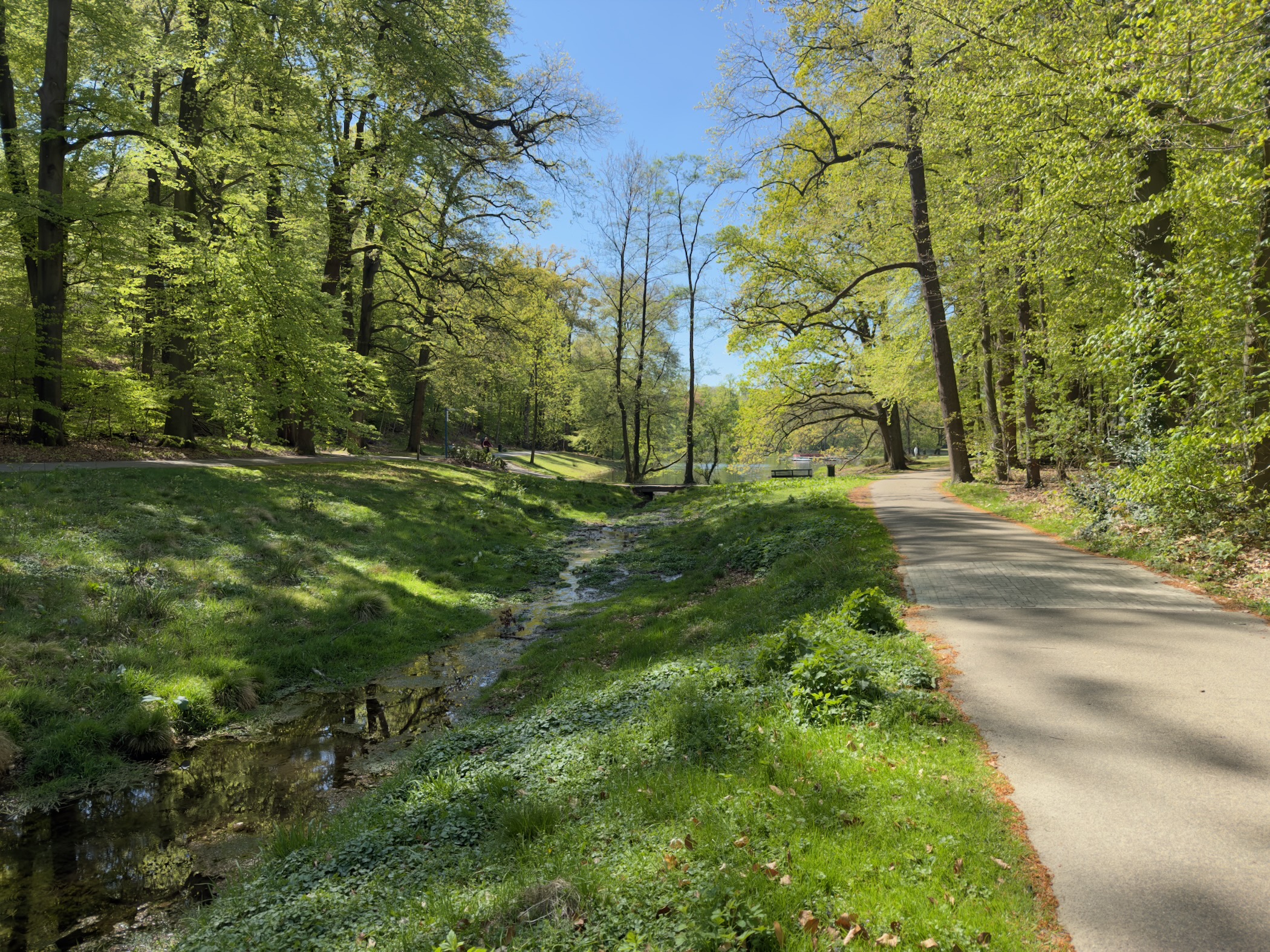 Stream running beside a paved park path in Sonsbeek