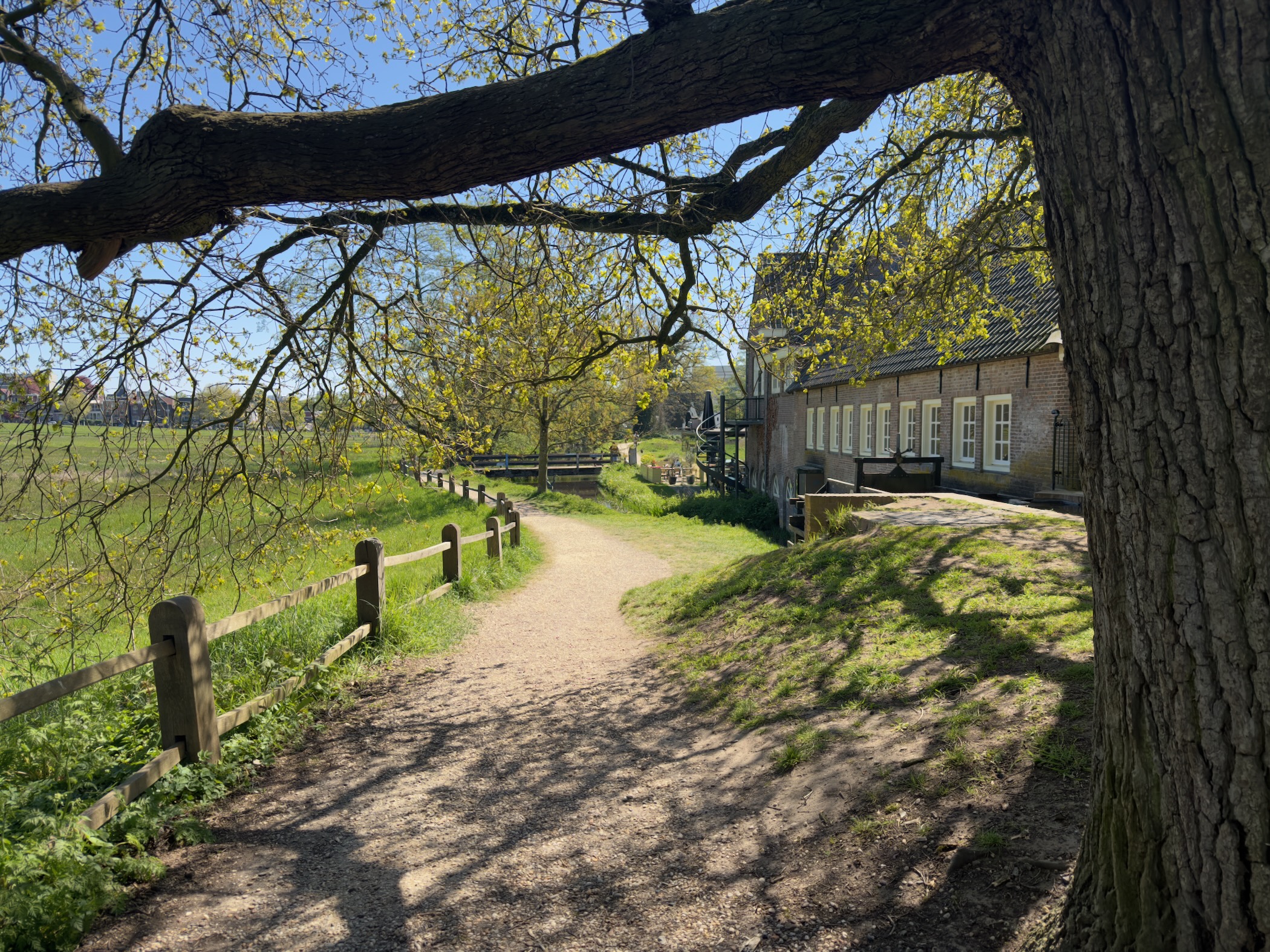 Path beside an old brick farmhouse with an overhanging tree