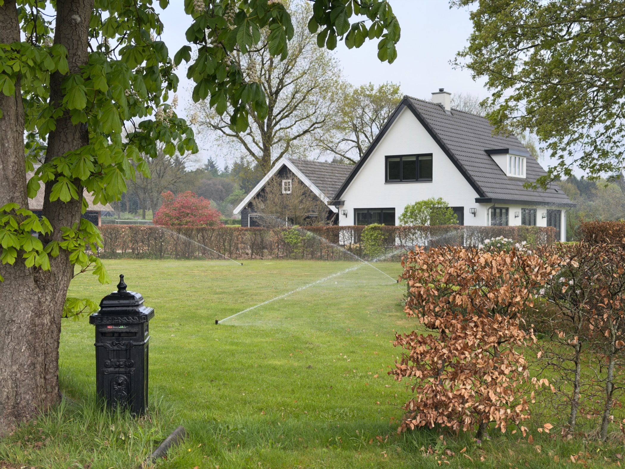 White country house with black roof and a lawn sprinkler arcing across the grass