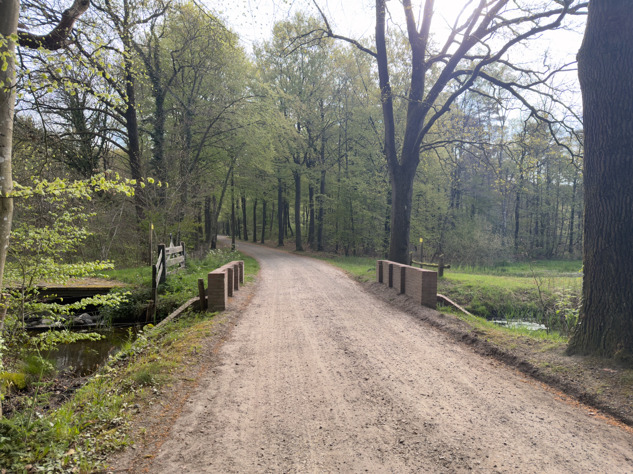 Gravel track crossing a small wooden bridge over a stream in the woods