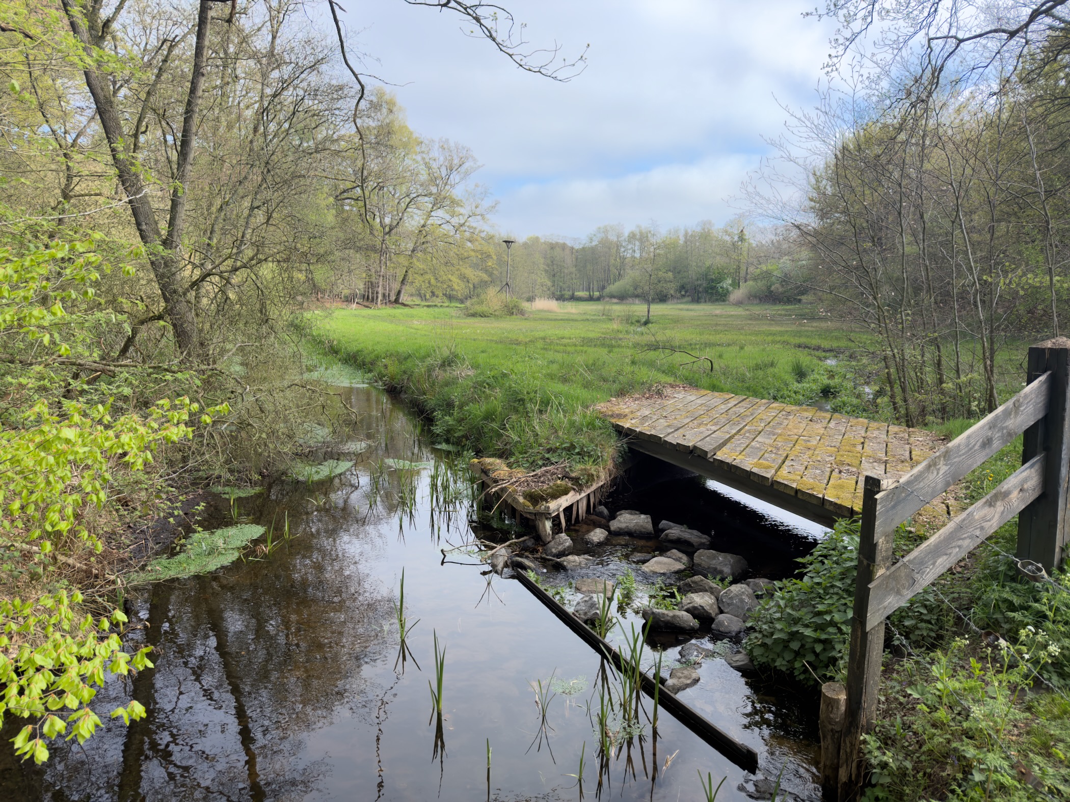 Low wooden weir over a small stream in a grassy wetland clearing