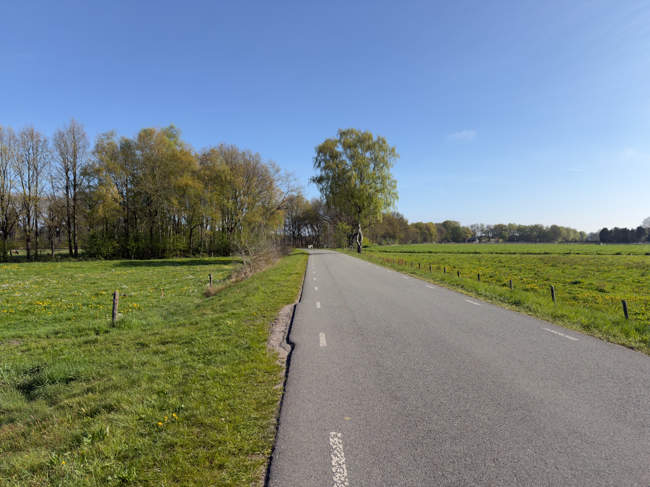 Rural tarmac road stretching past green meadows toward distant trees