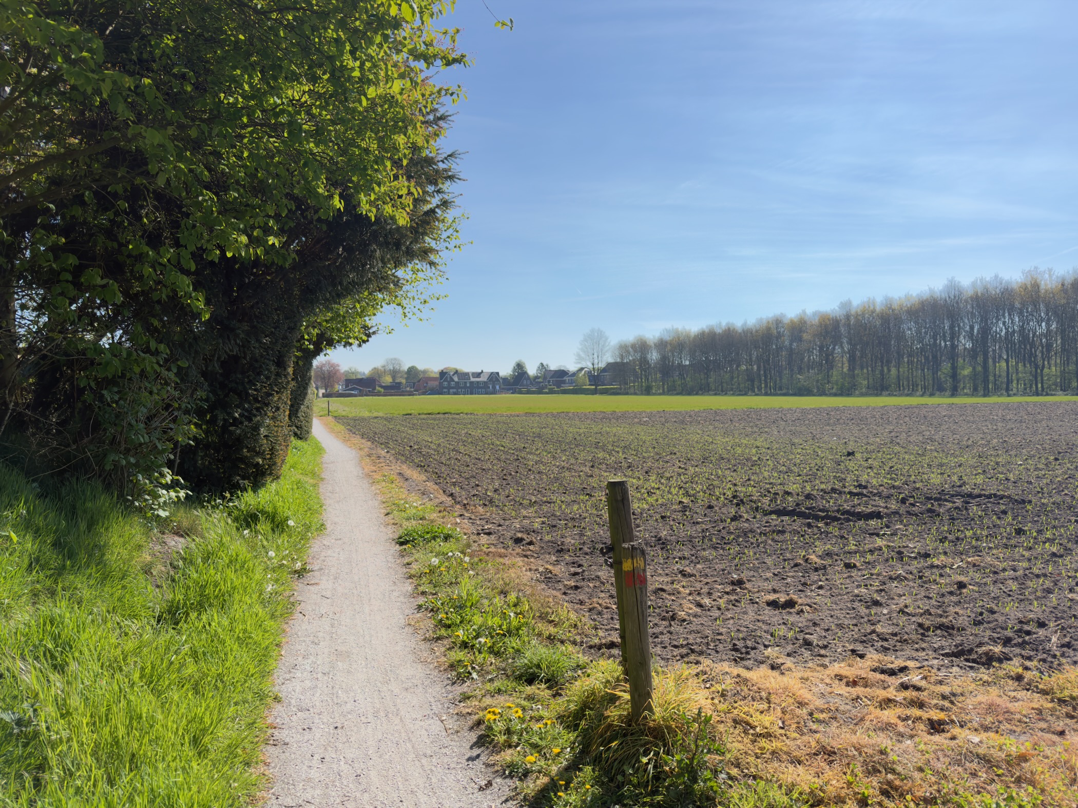 Gravel field-edge path between a hedge and a ploughed field with a trail post