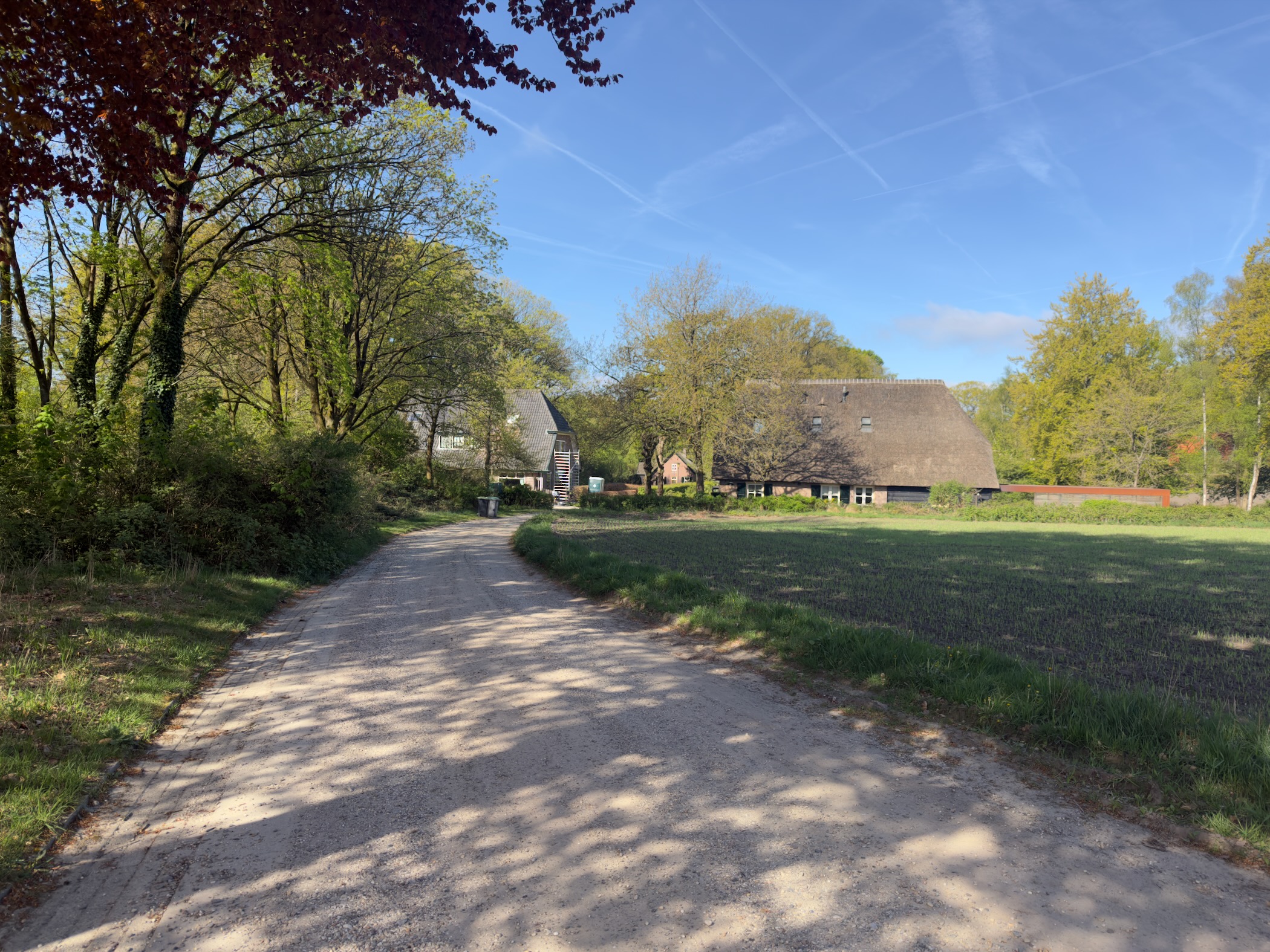 Sandy lane past a thatched farm building and spring trees