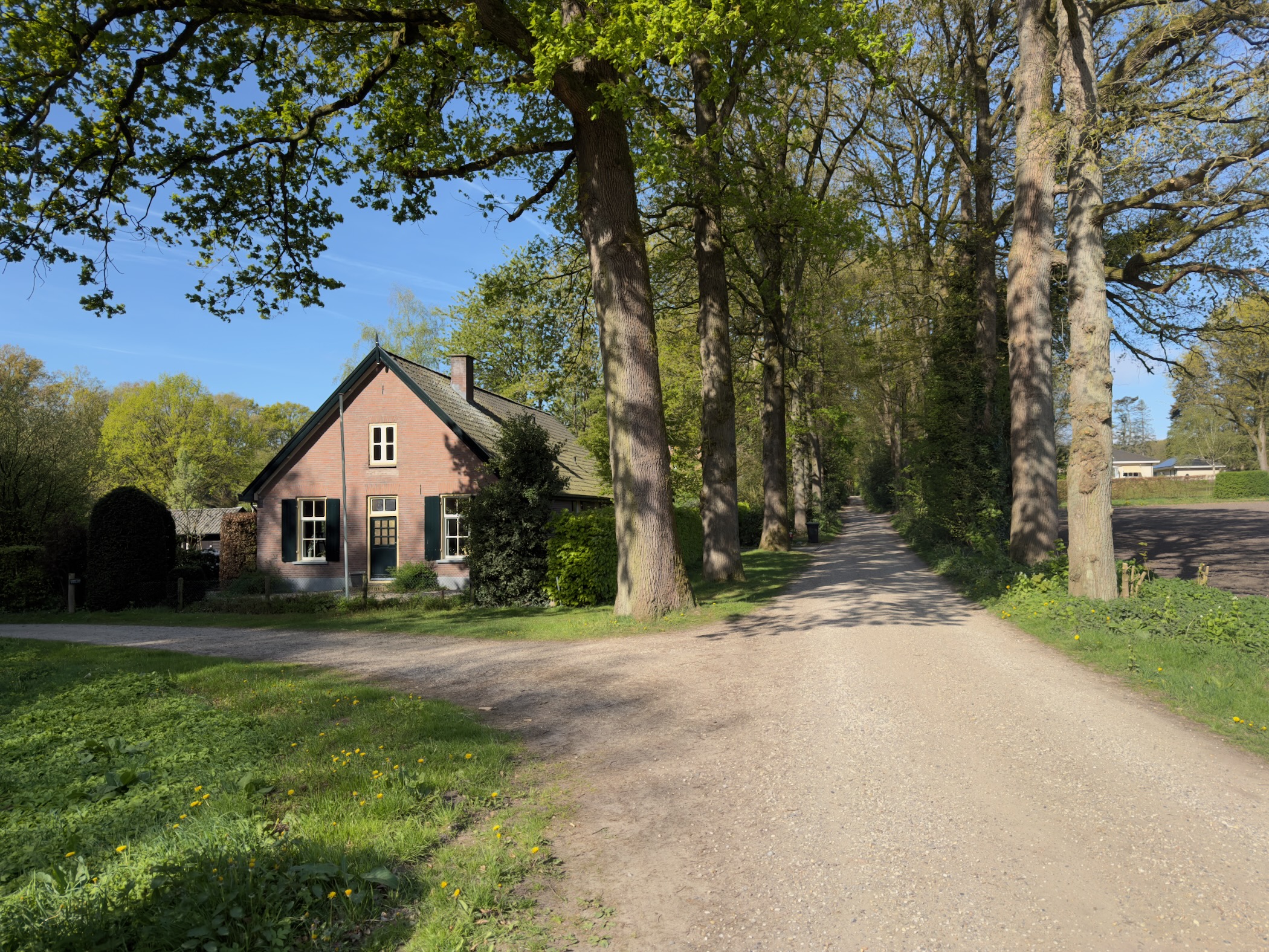Pink brick cottage beside a tree-lined track