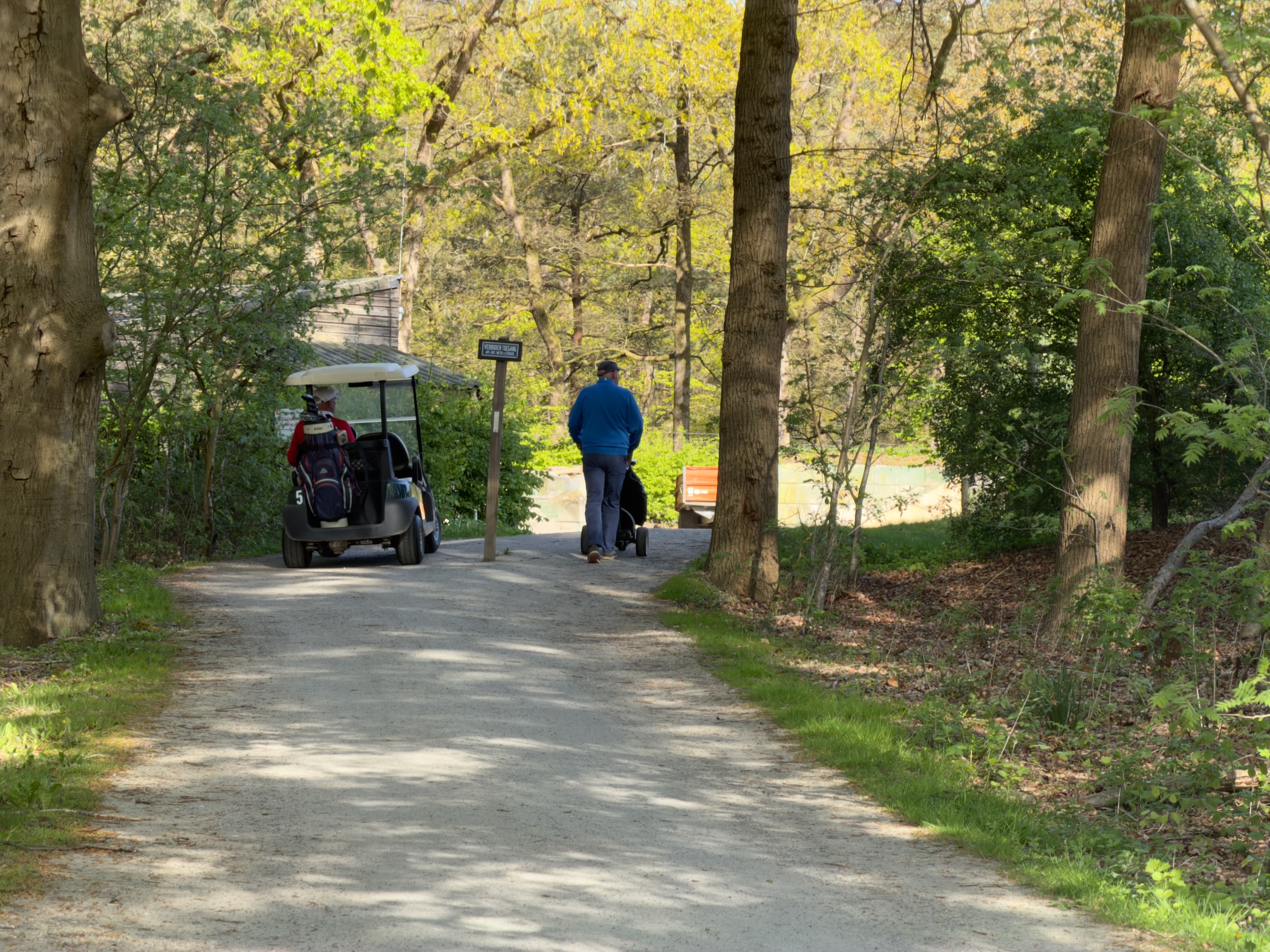 Golf buggy parked on a path while a walker with a dog heads into the wood